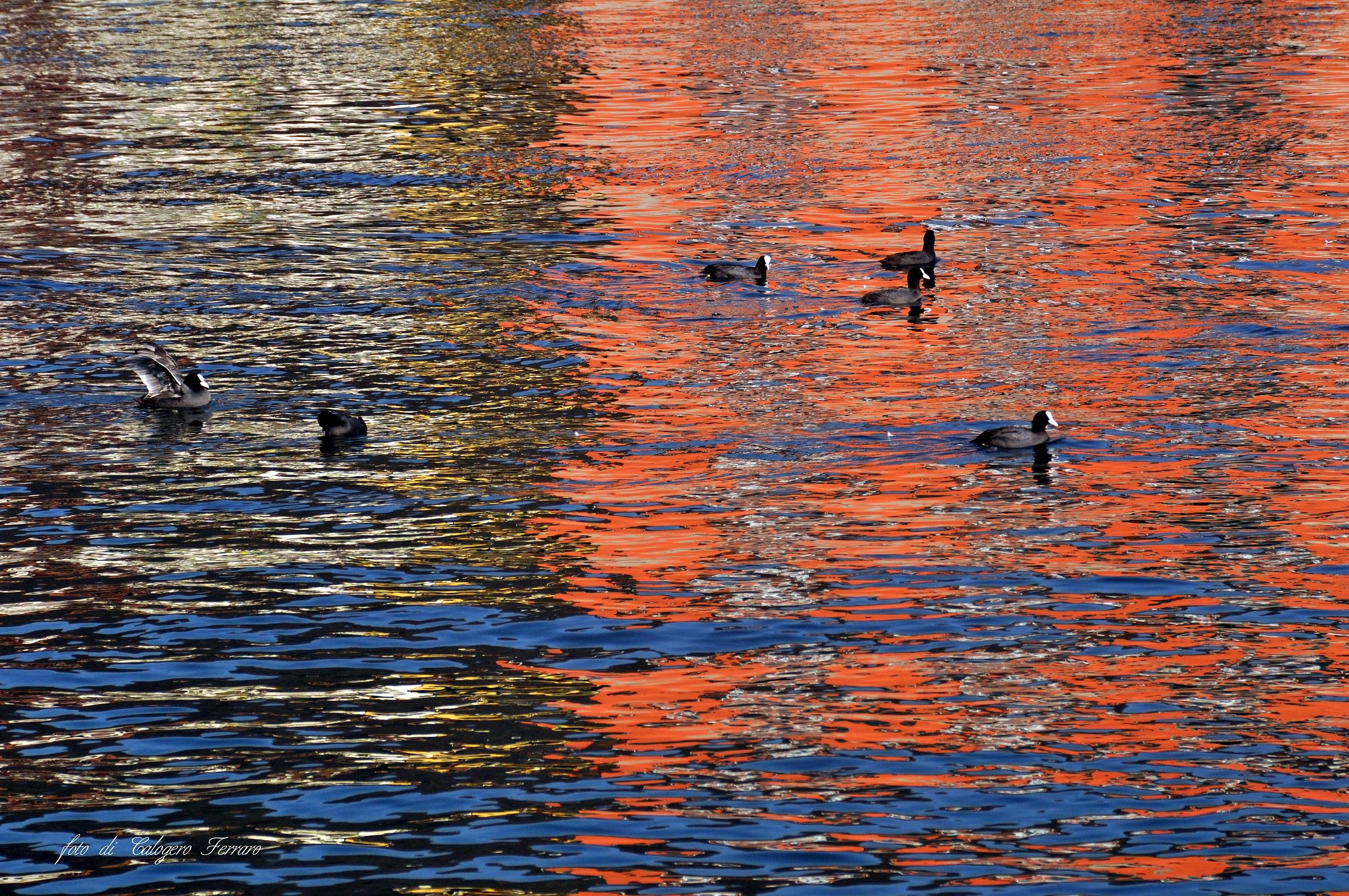 Sarnico 131 ° shooting