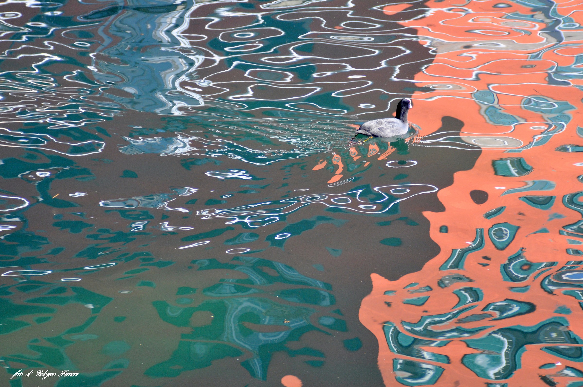 Reflections in Sarnico