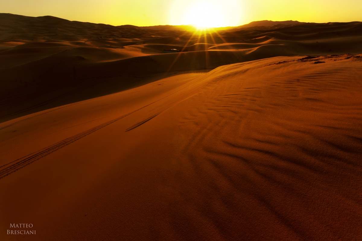 The Golden Desert