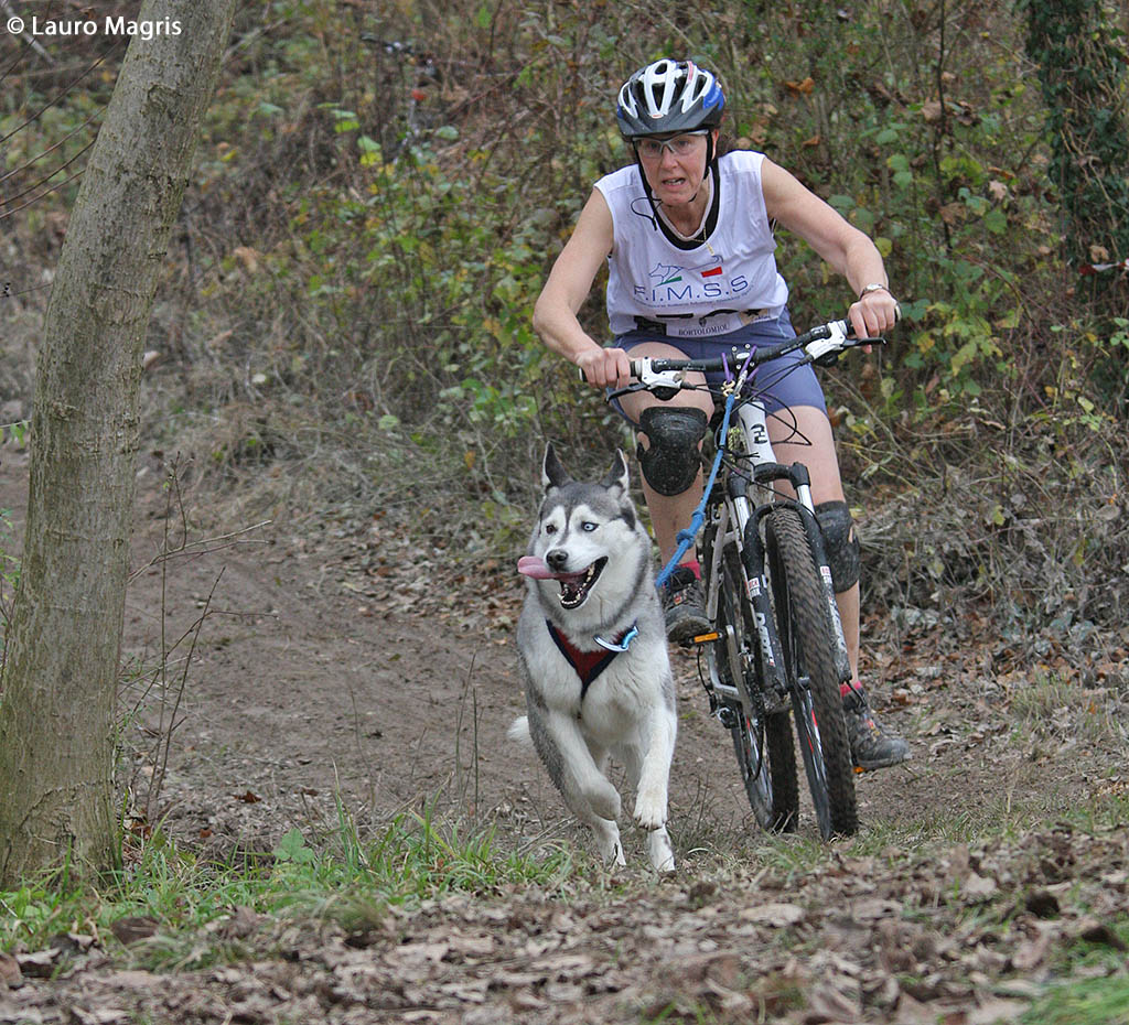 Sleddog MTB