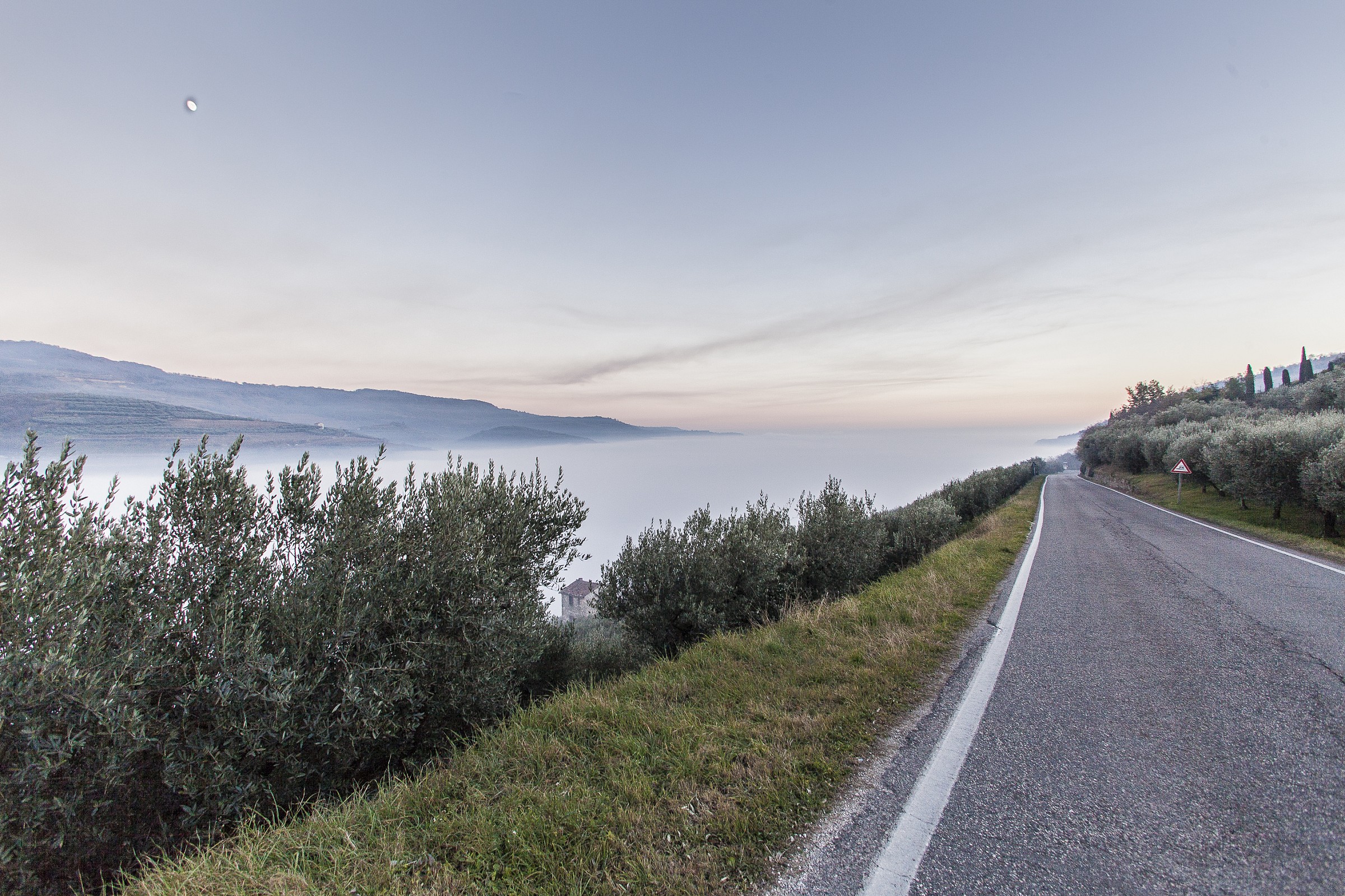 Nebbia in Pianura (Cazzano di Tramigna VR)