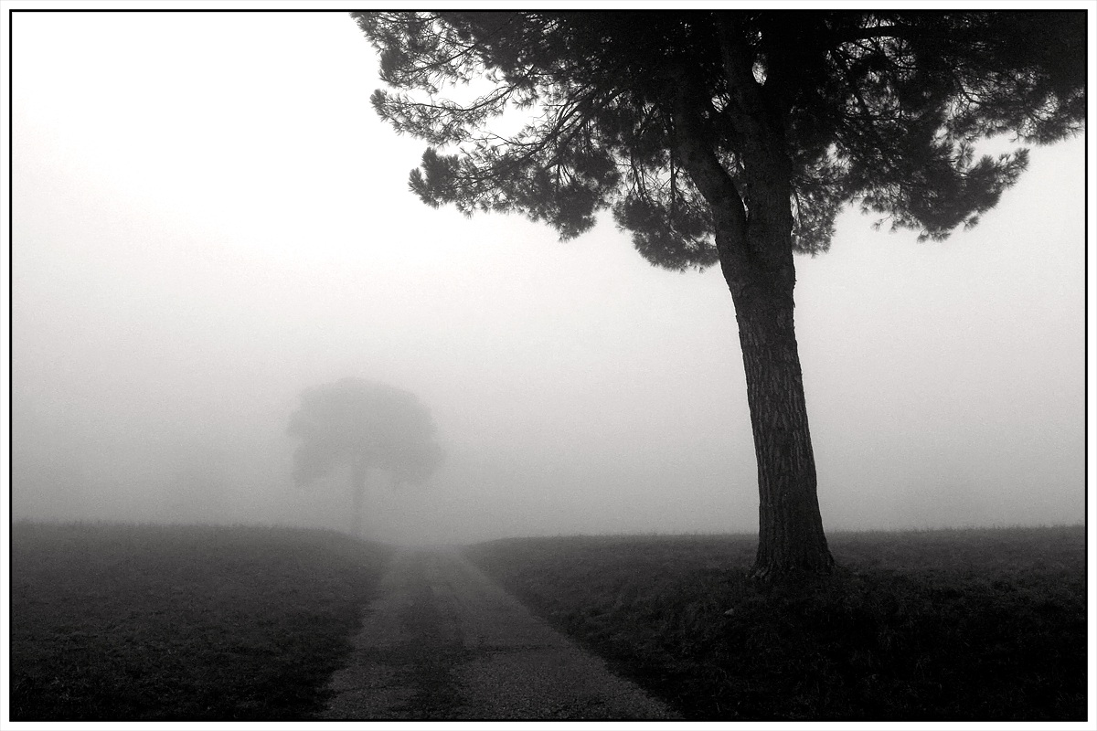 Nebbia