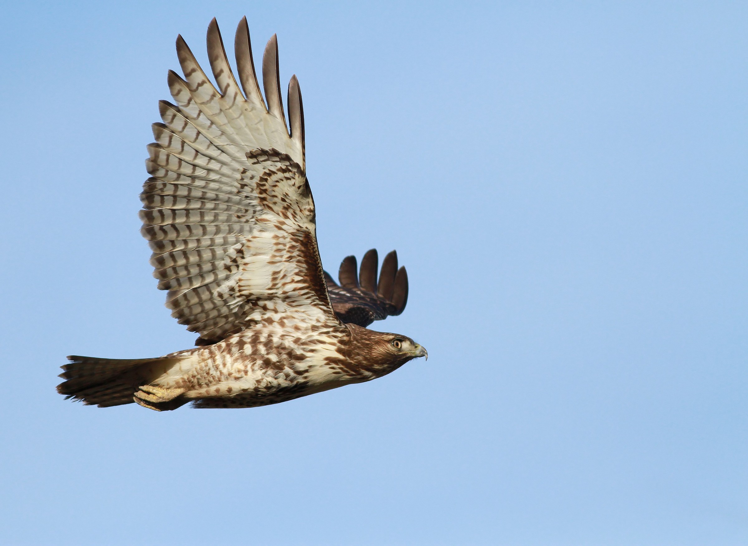 Ottenere areodynamic