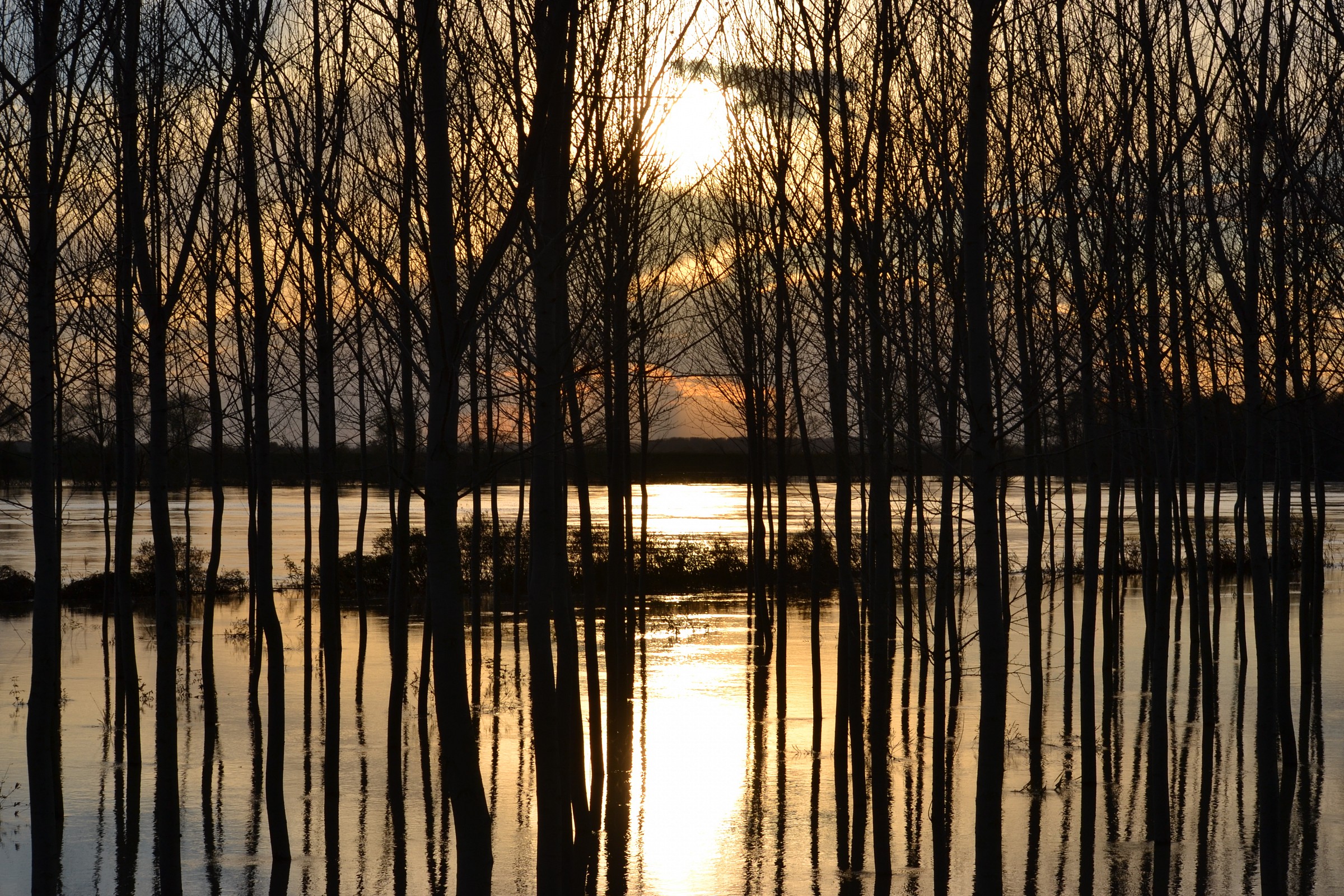 piena del po rovigo 16 11 14
