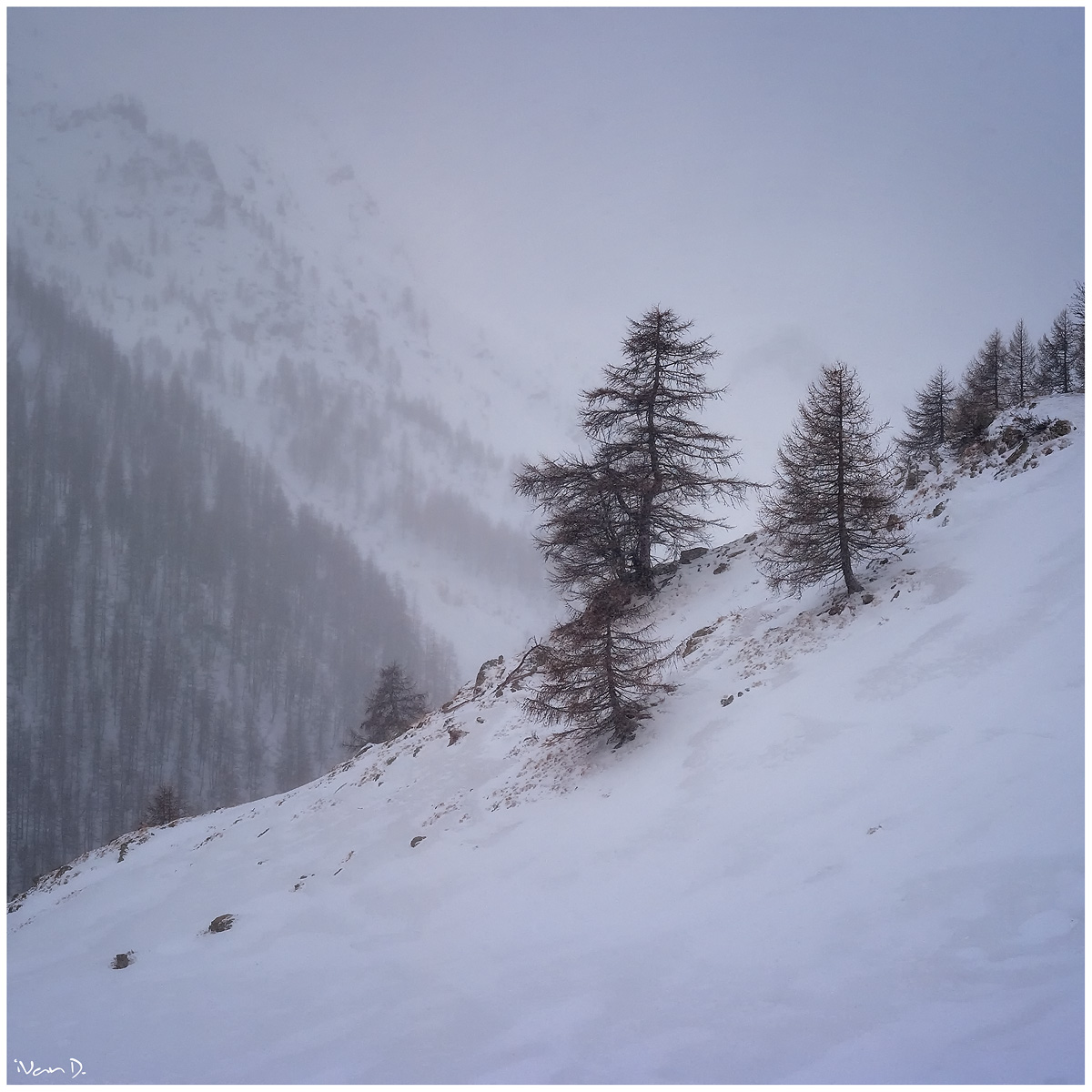 Pendii della Valle Stura