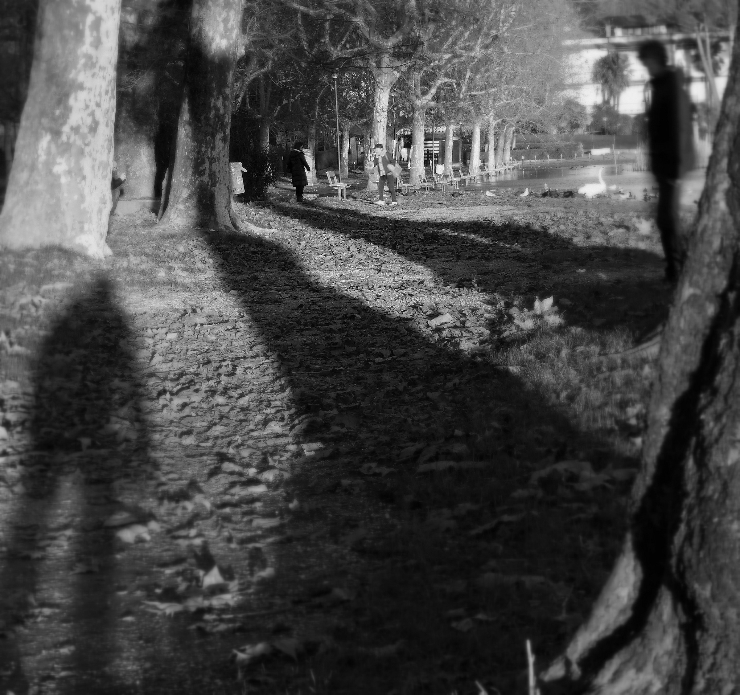 Discourse between shadows ..