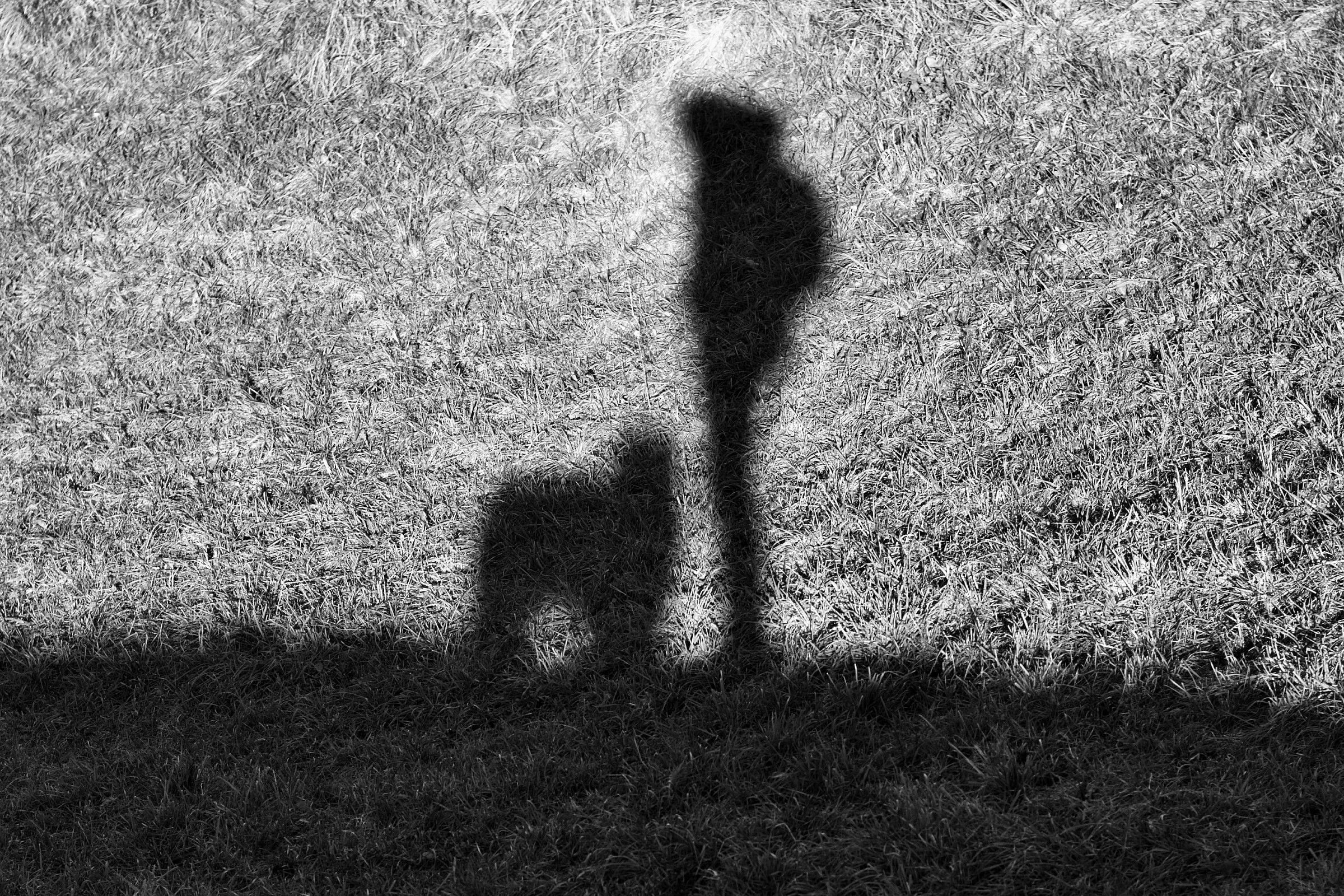 la parte oscura che abbiamo tutti