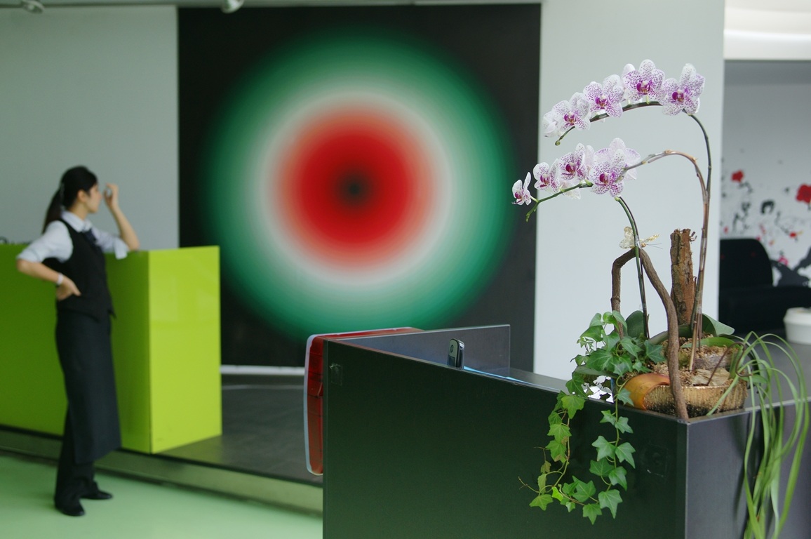 orchids at the museum