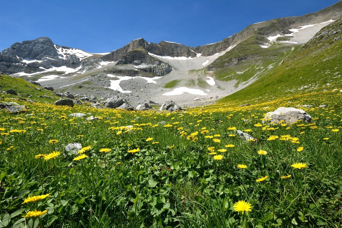 Mount Carrier Lakes Pilate