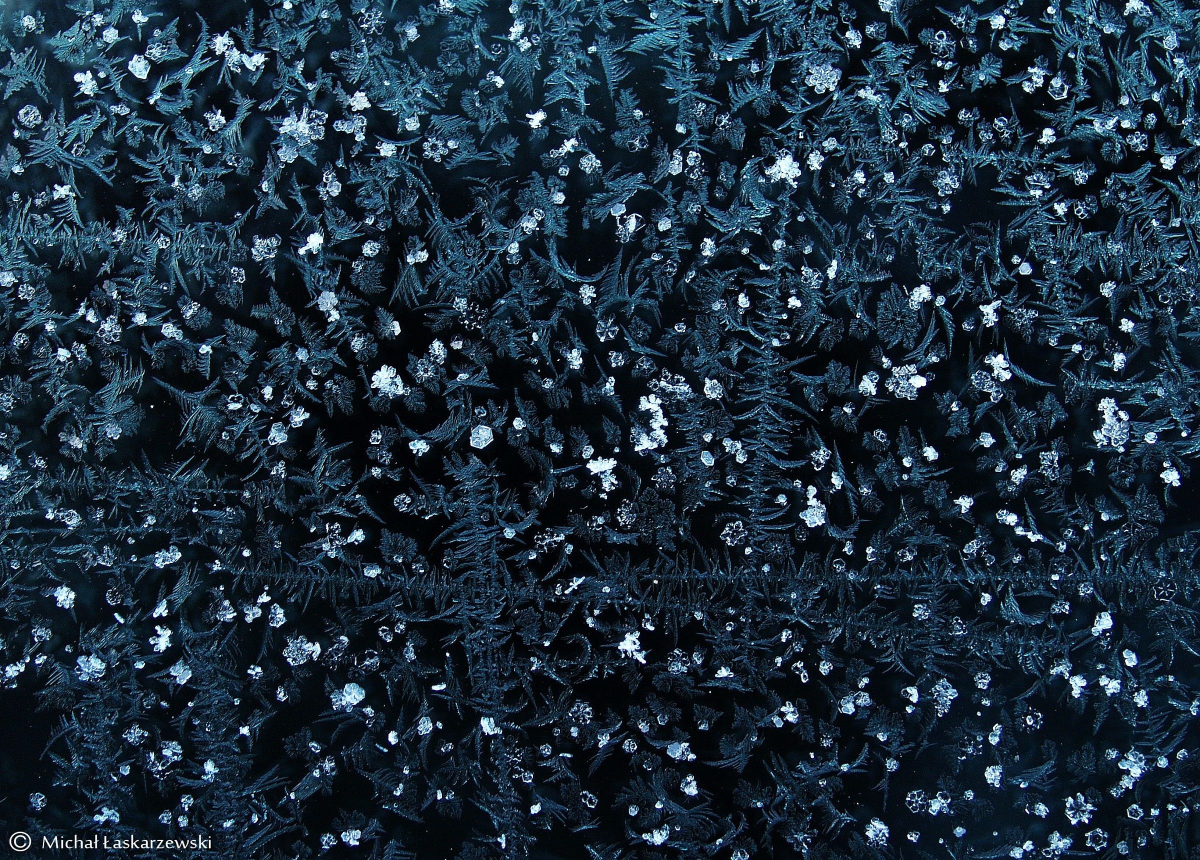 Frost_1
