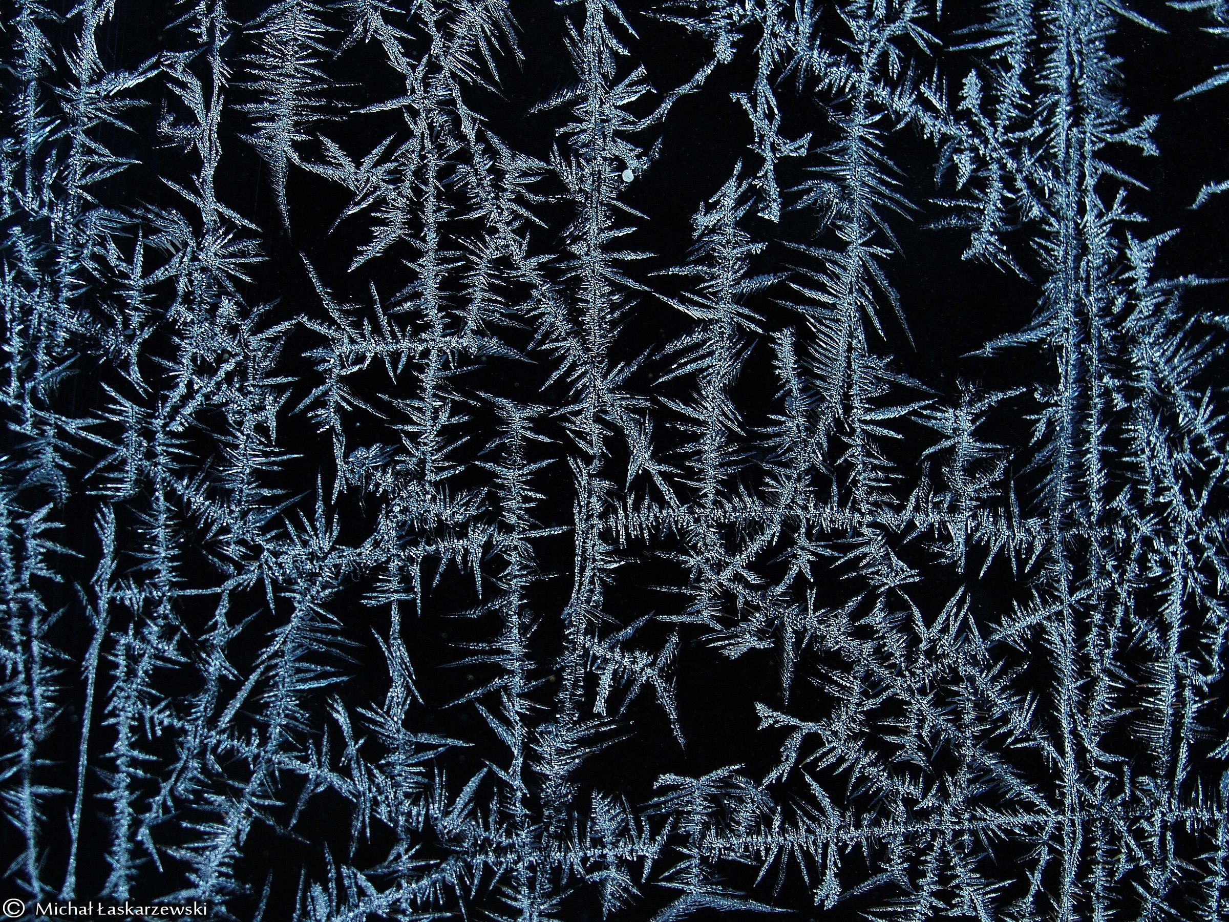 Frost_2