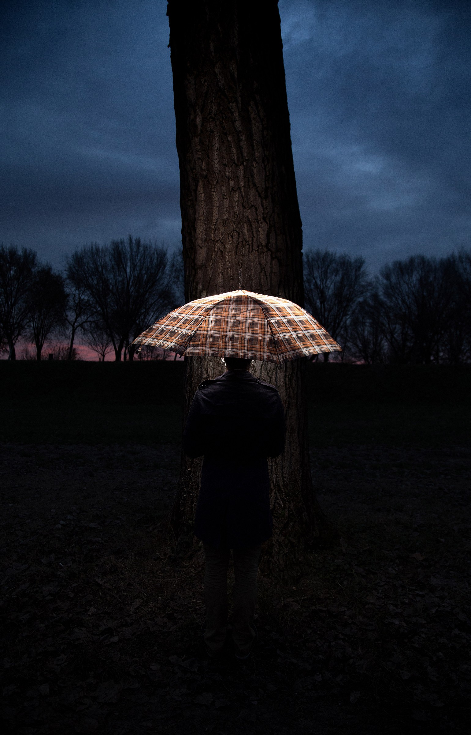 Something like a Dream