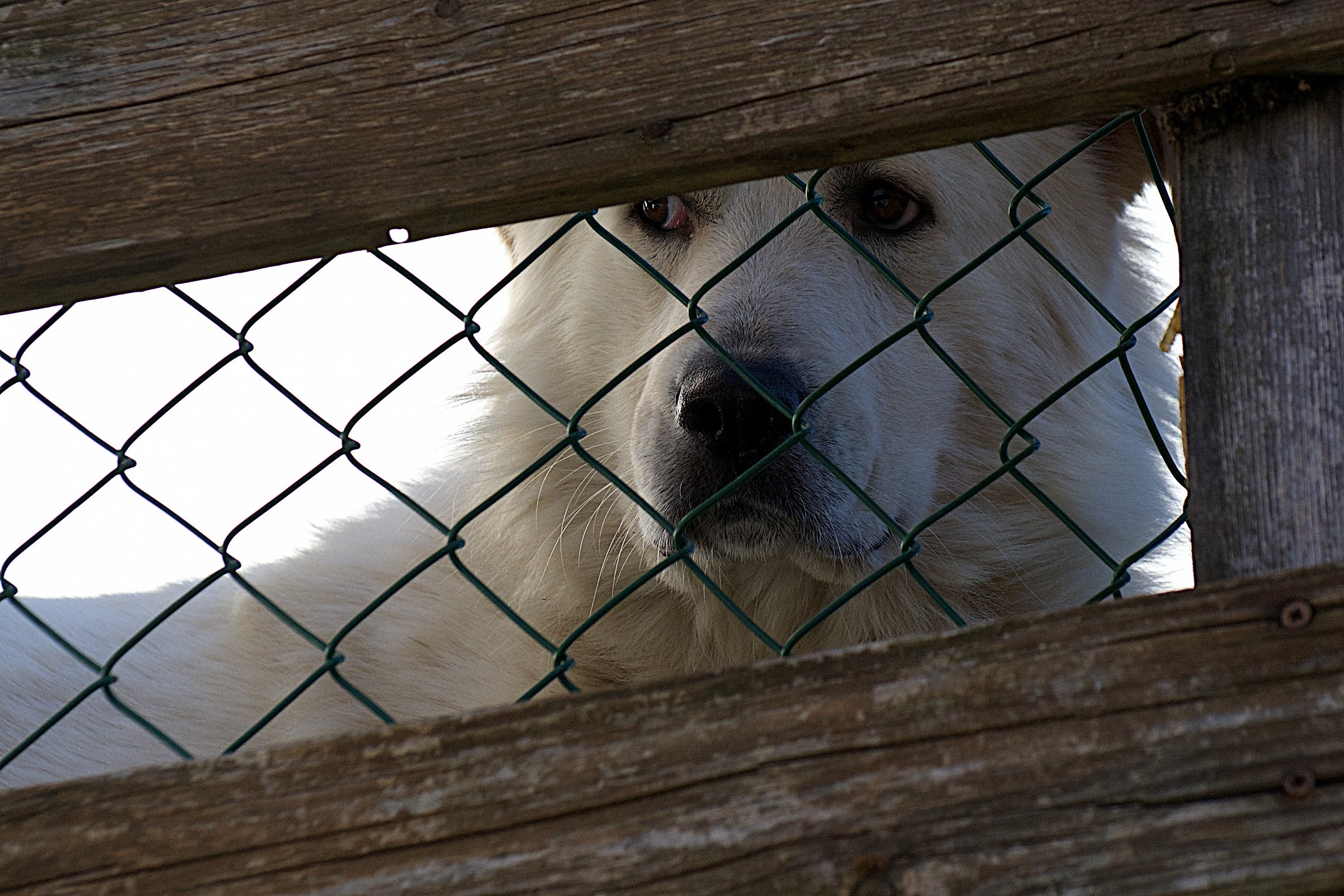 Ti guardo di sbieco .....