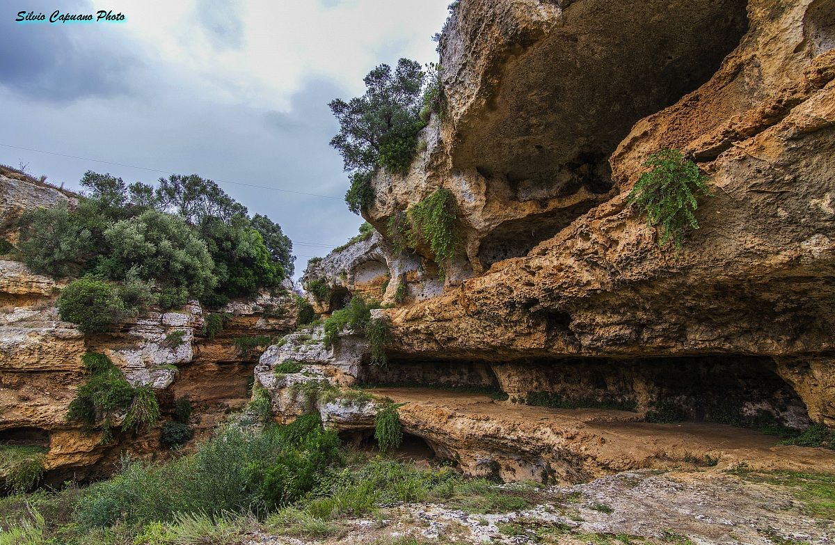 I giardini pensili di Riggio