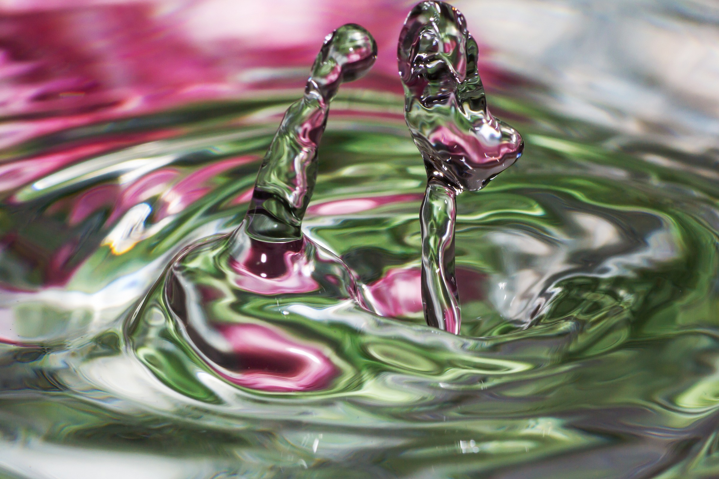 vieni qui..che ti mangiooo