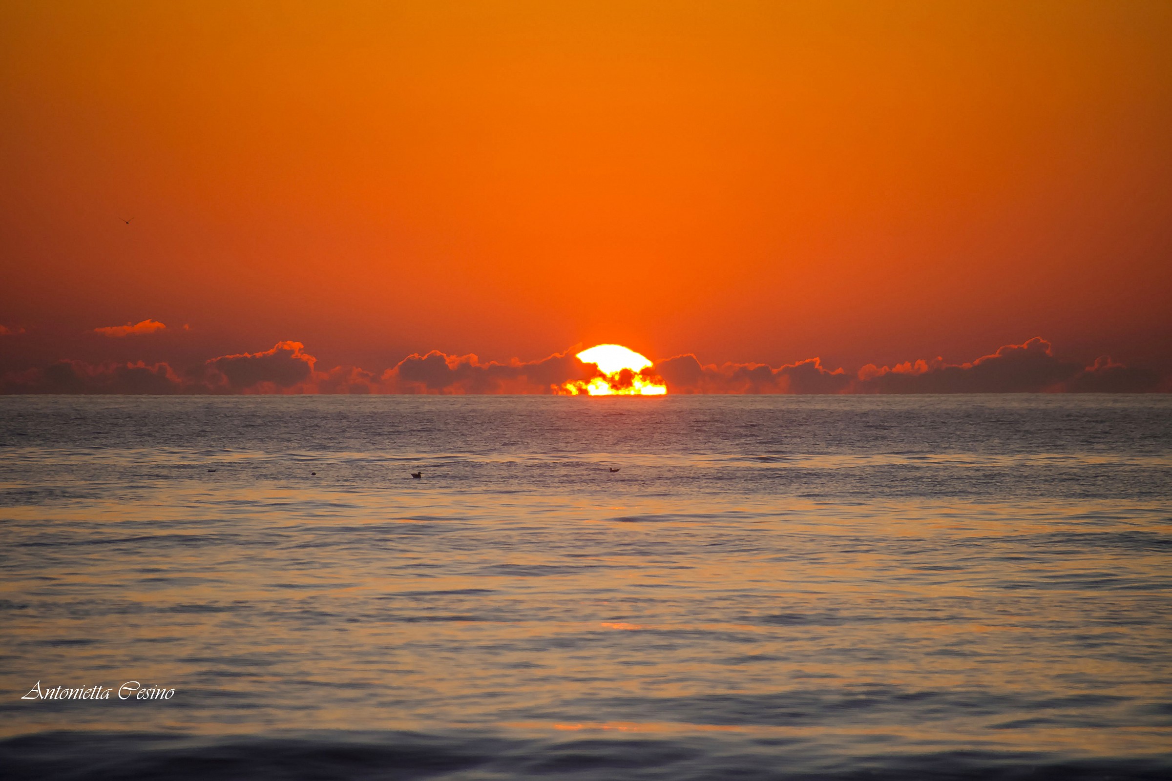 The wonder of the sunset