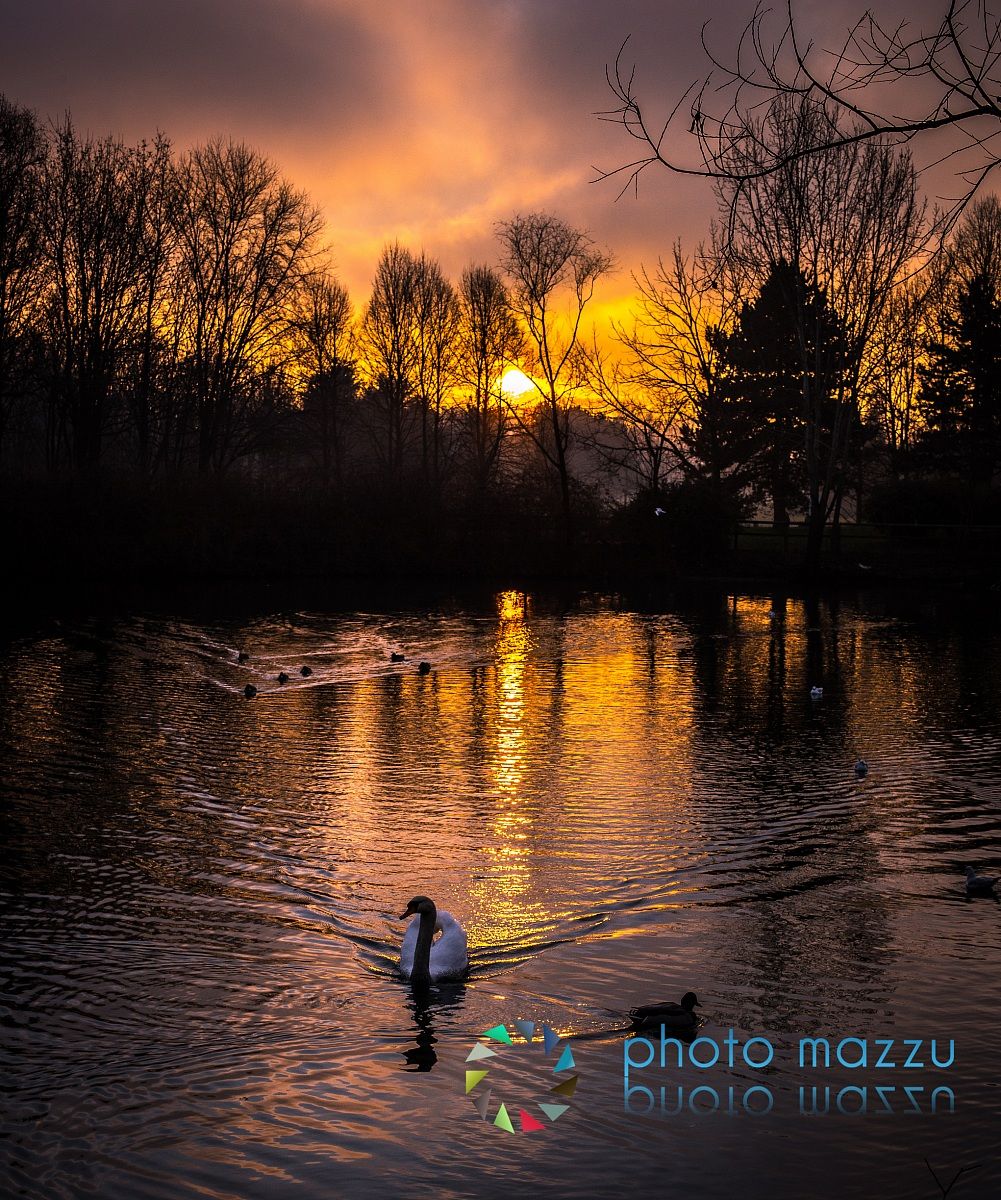 Winter sunset over the pond
