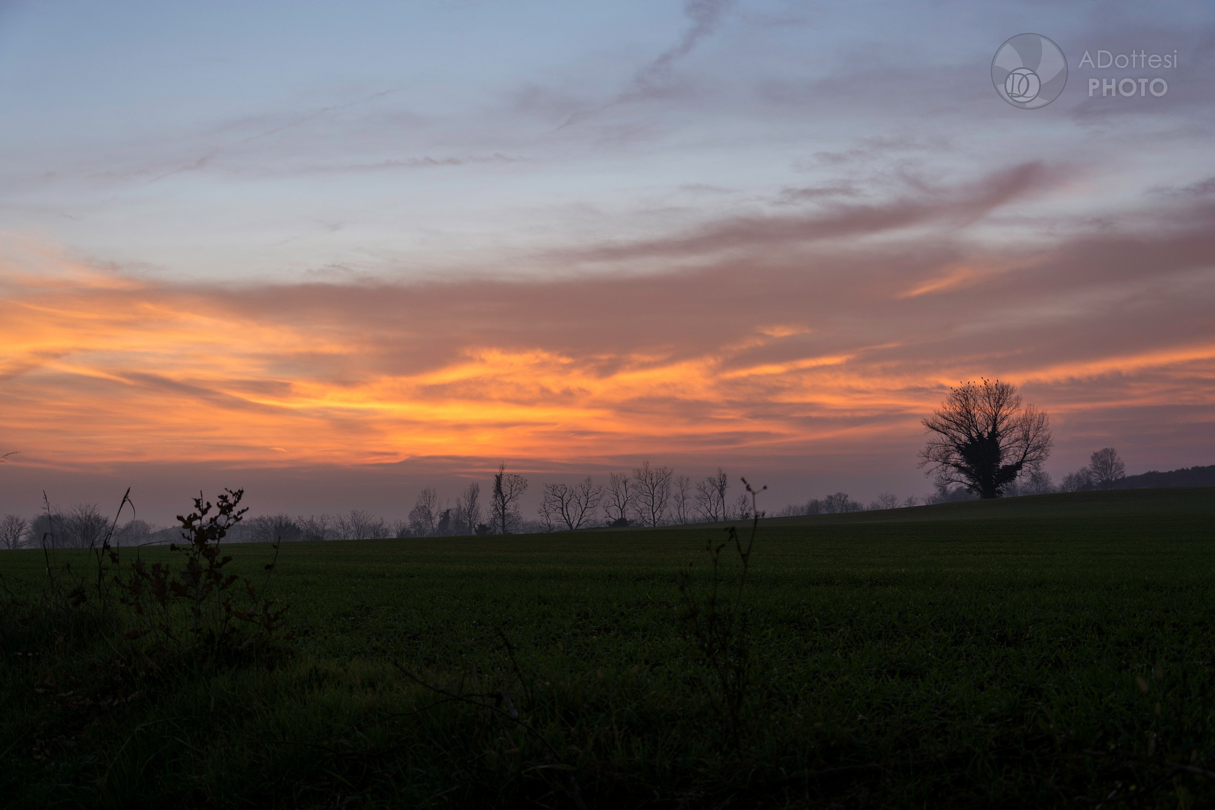 Solitudine affollata