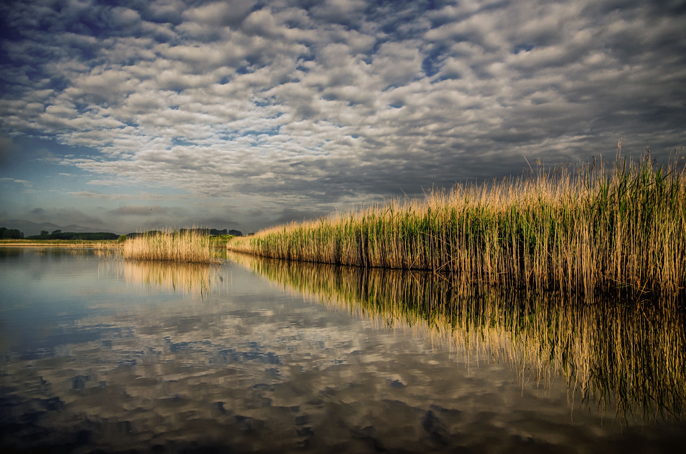 il padule di fucecchio