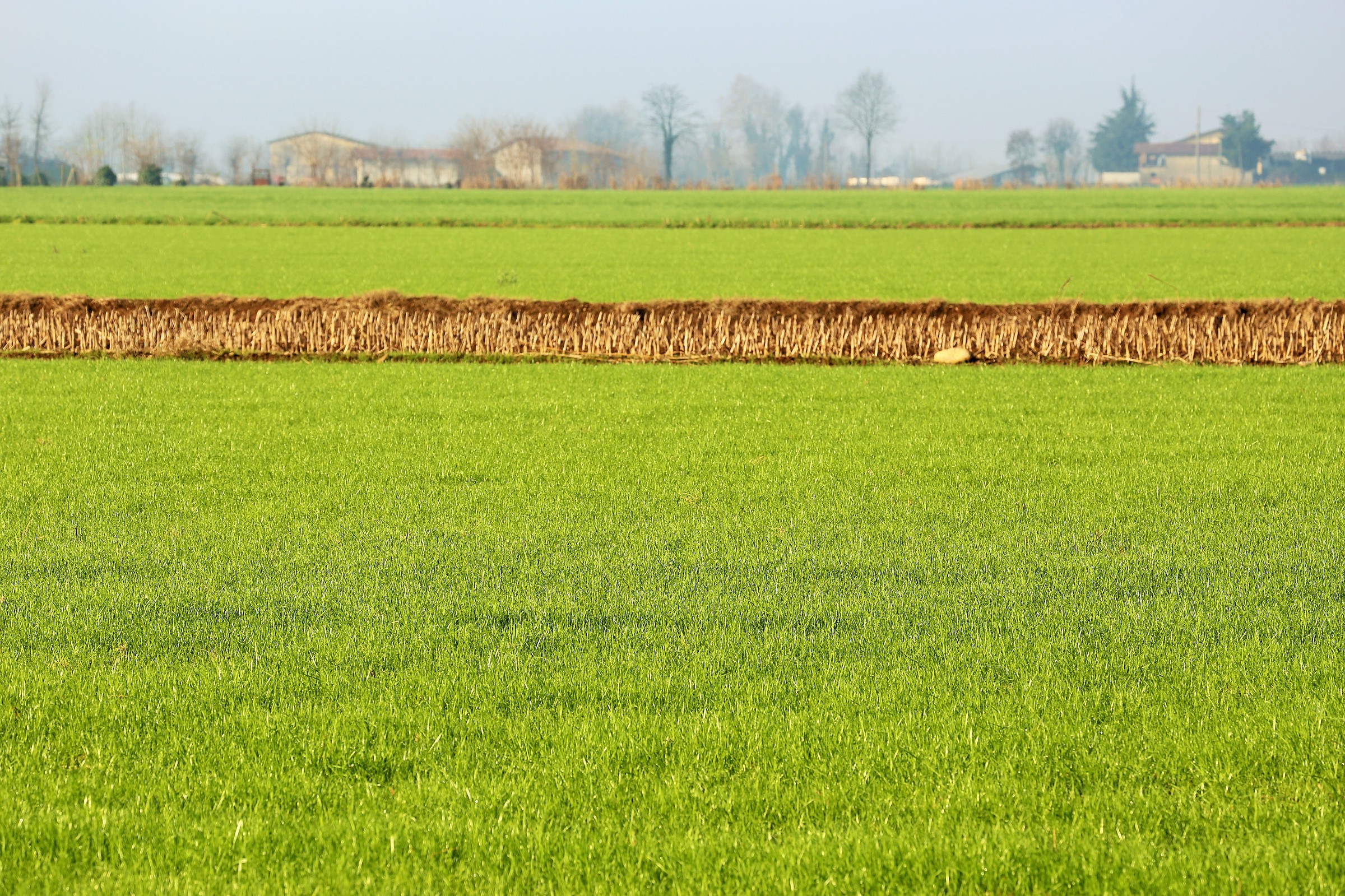 Foschia sull'orizzonte