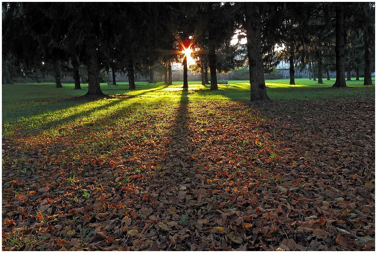 Ultimo sole d'autunno