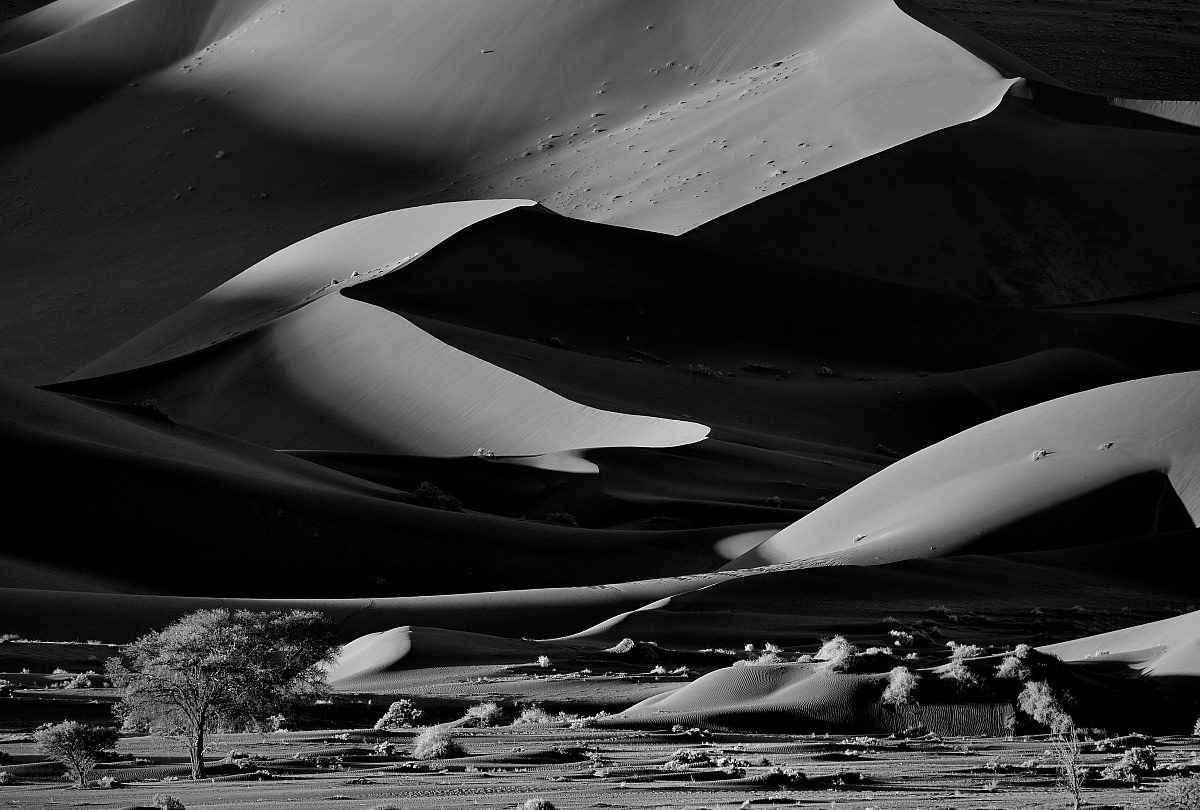 Deserto del Namib BW