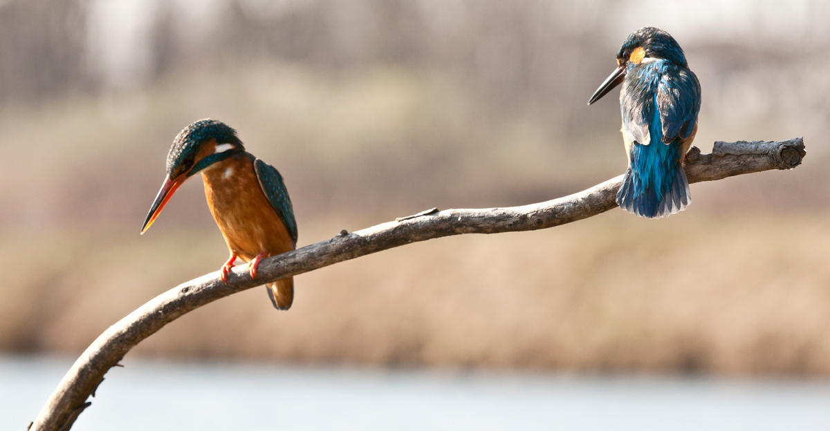 il maschietto lancia un'occhiatina....