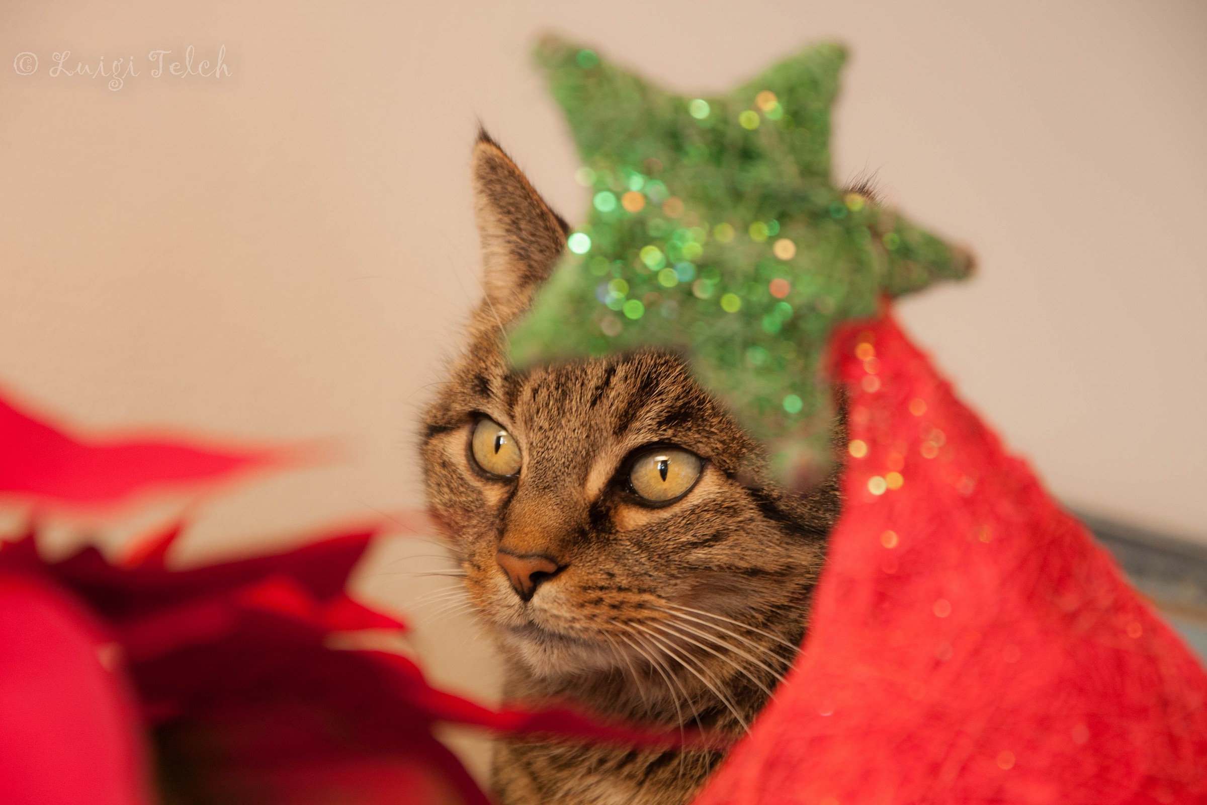 Auguri e buona luce a tutti voi