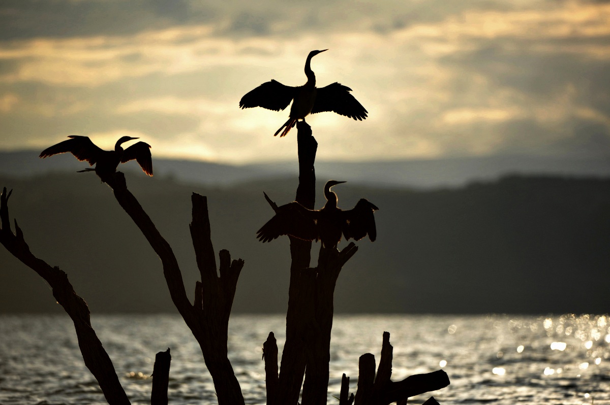 Primo secondo e terzo