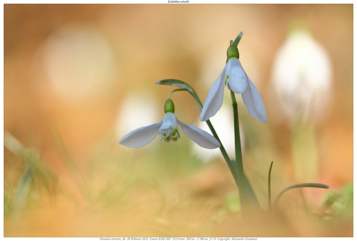 The lair of the Rhino