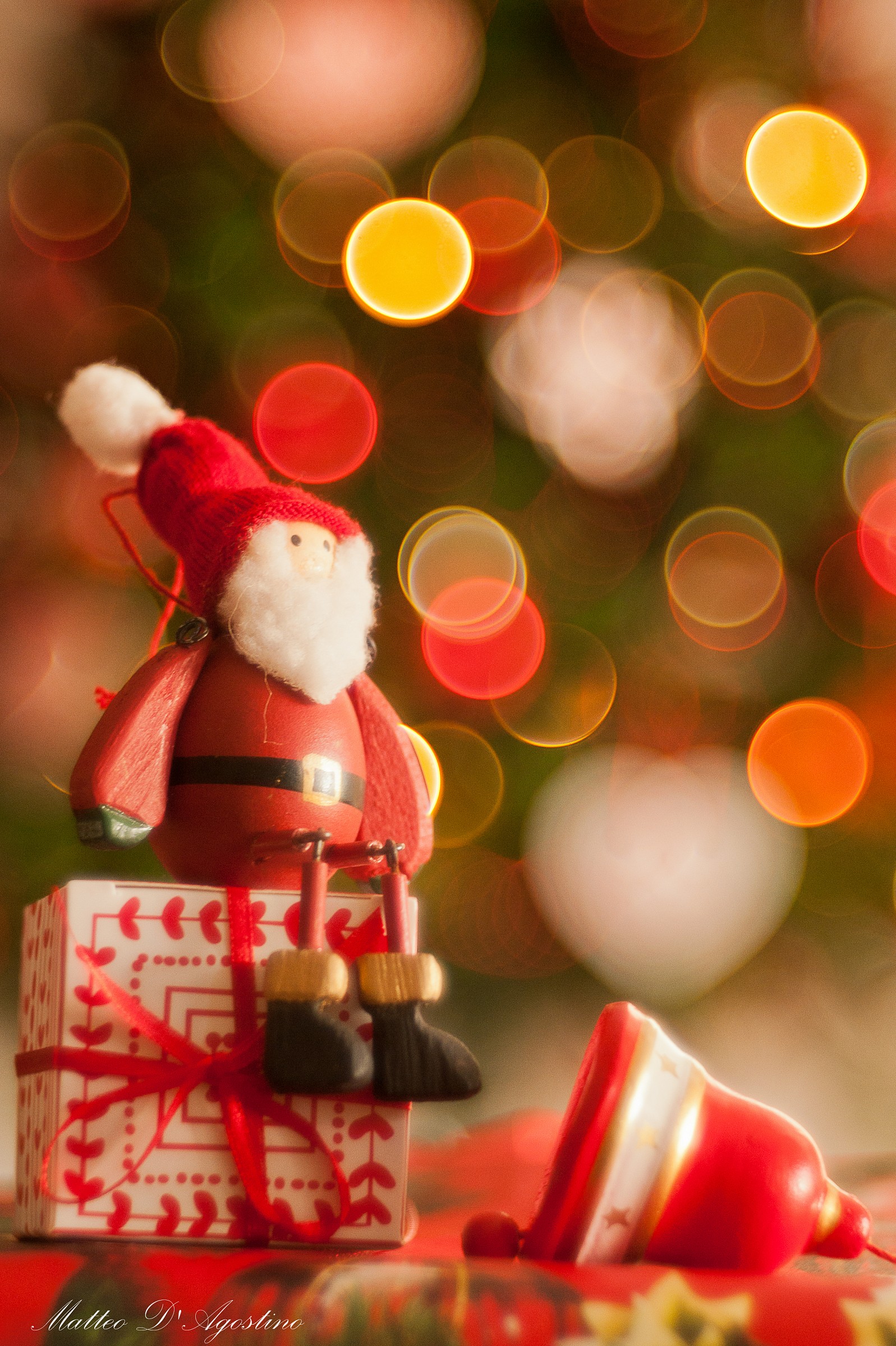 Sotto l'albero di natale