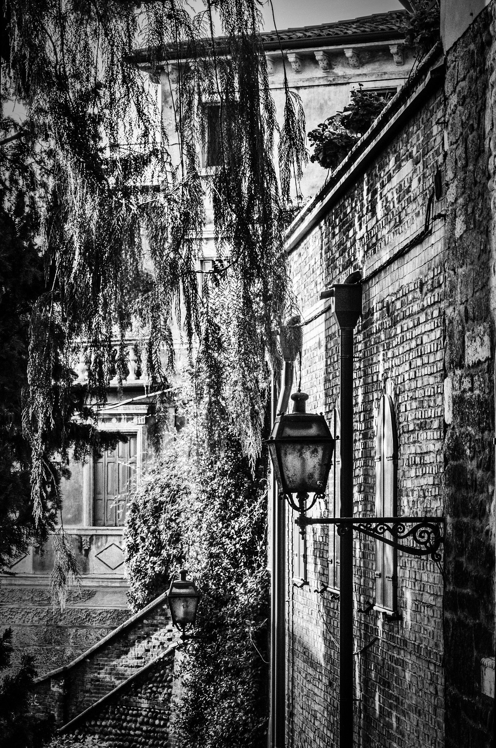 Verona - Hidden corners