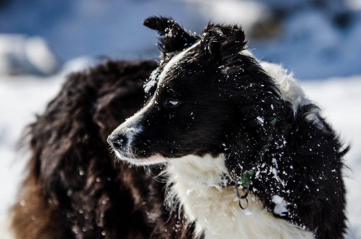 It 'a matter of looks