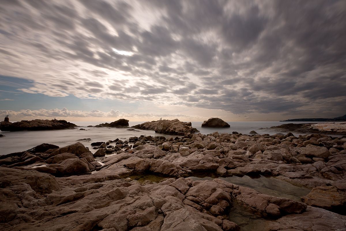 Red Leaps - Ventimiglia (im)