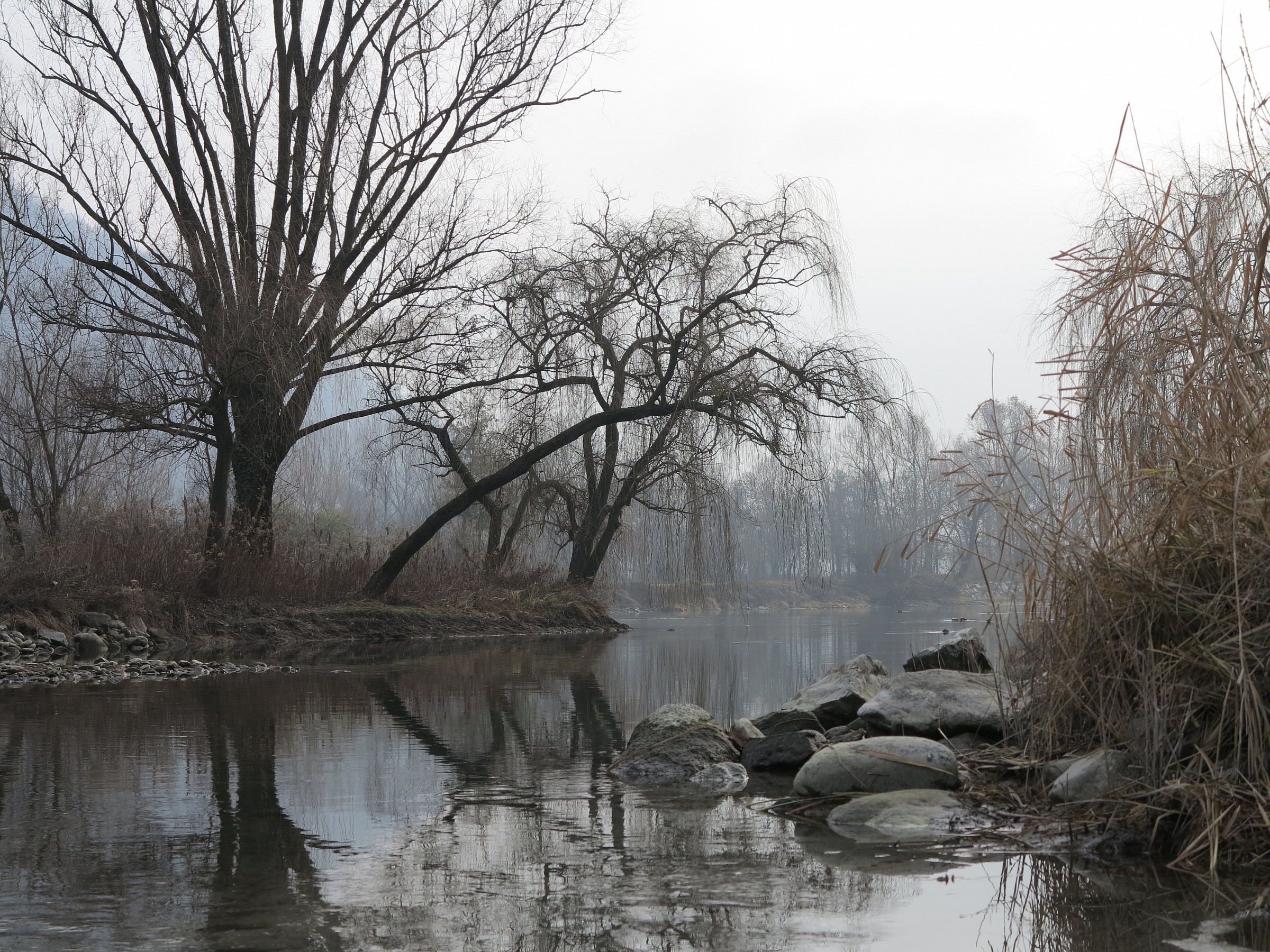 Brivio, winter landscape