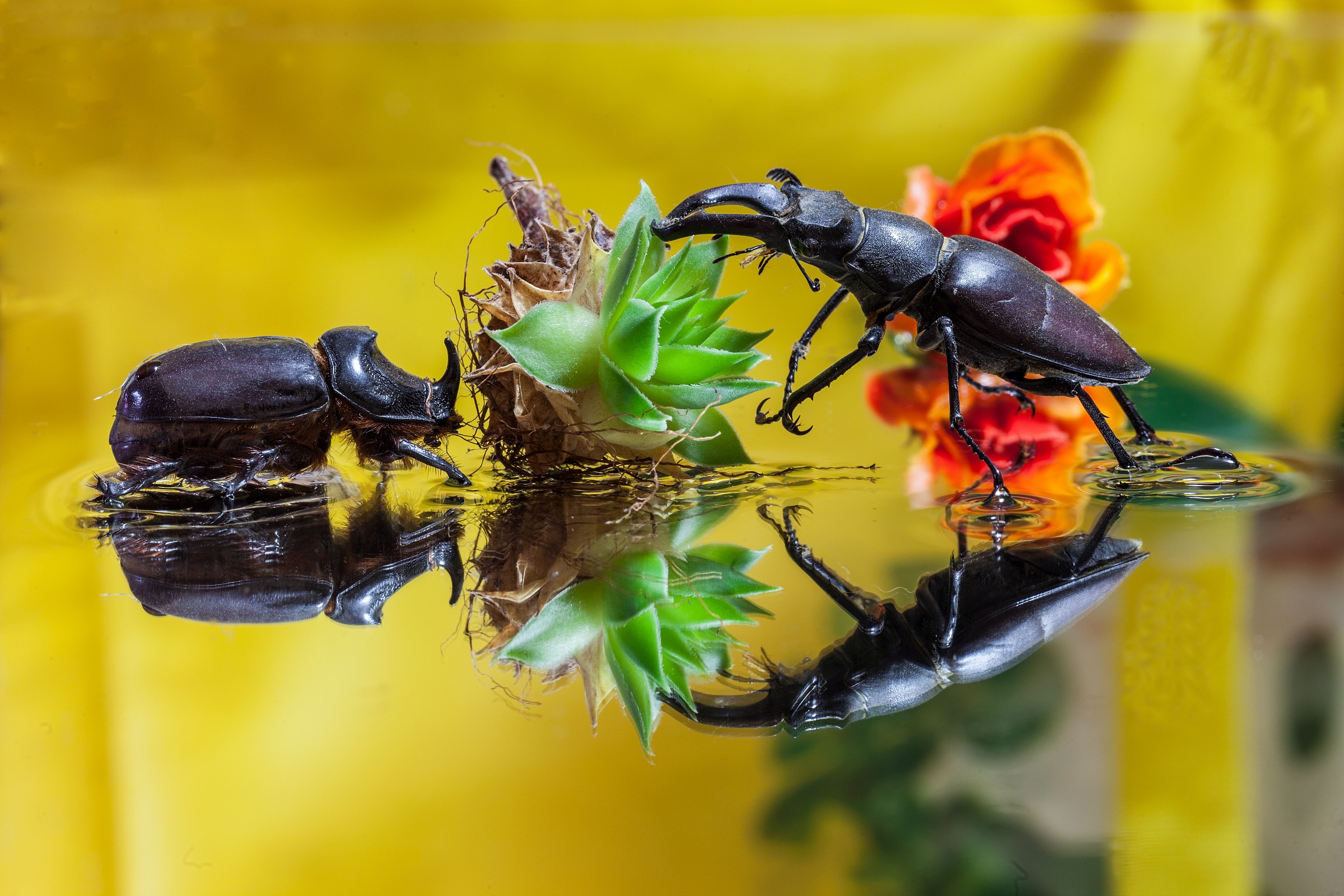 Experiment macro ...