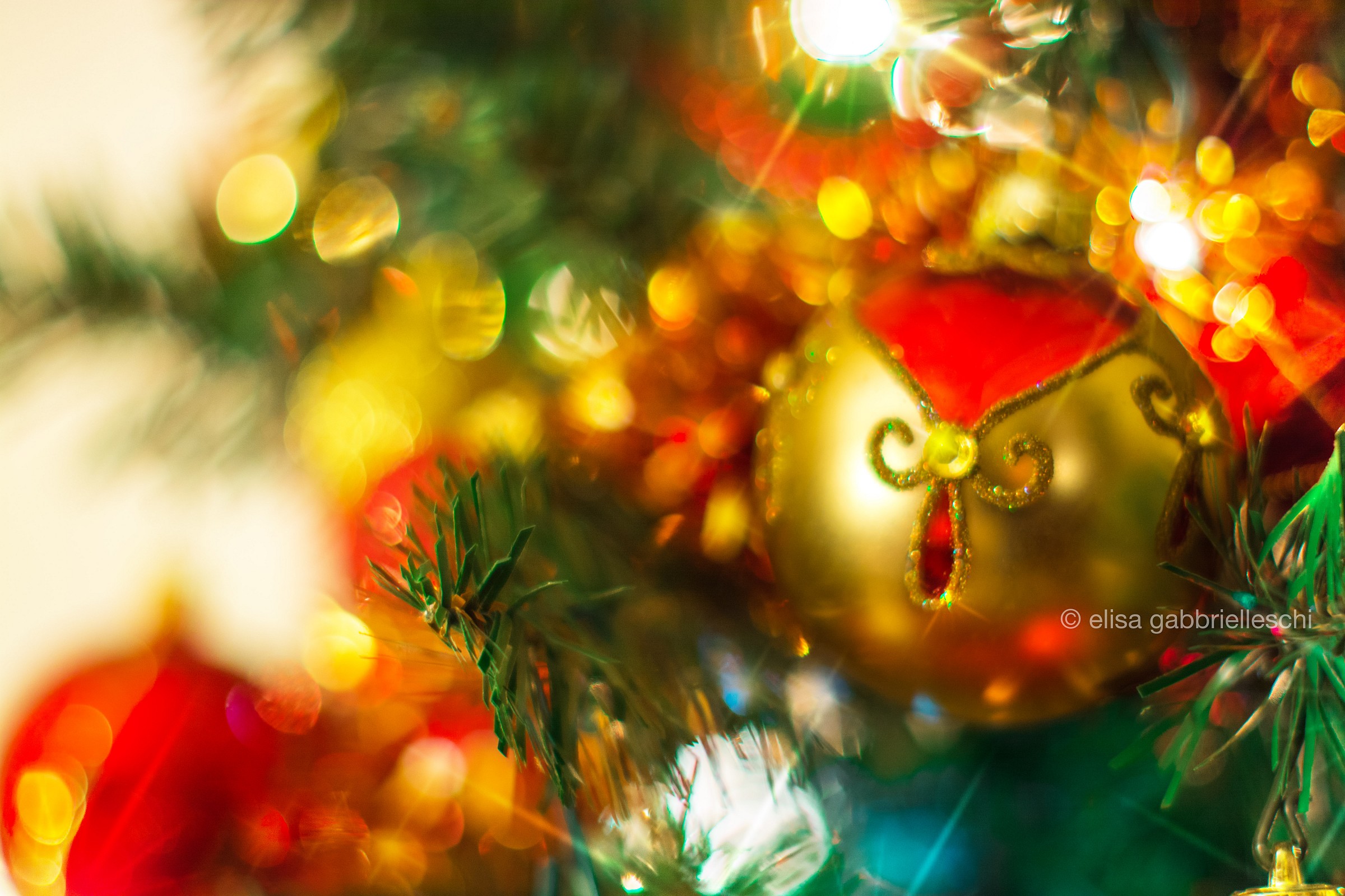 Merry Christmas 2014