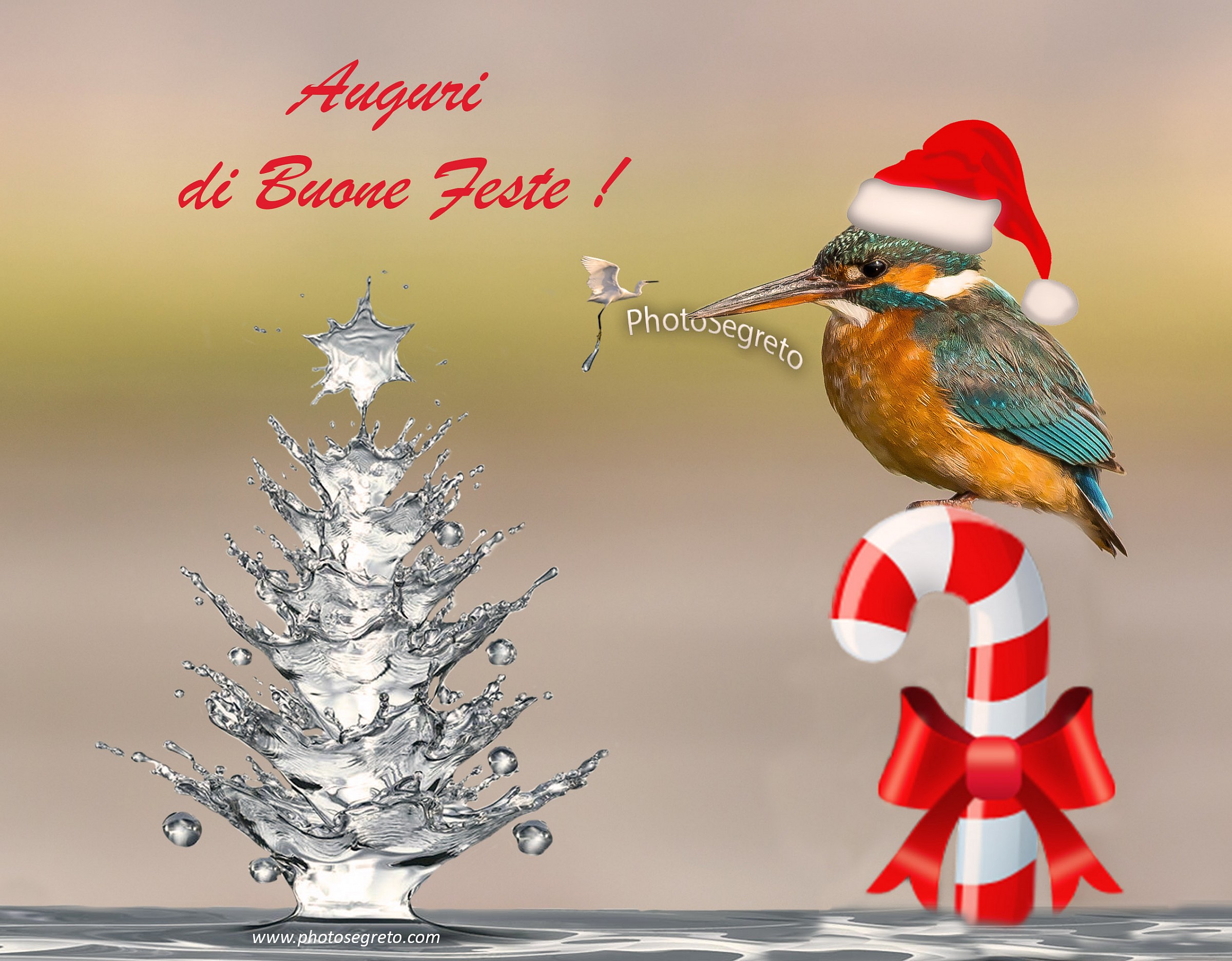 Auguri di Buone Feste!!!