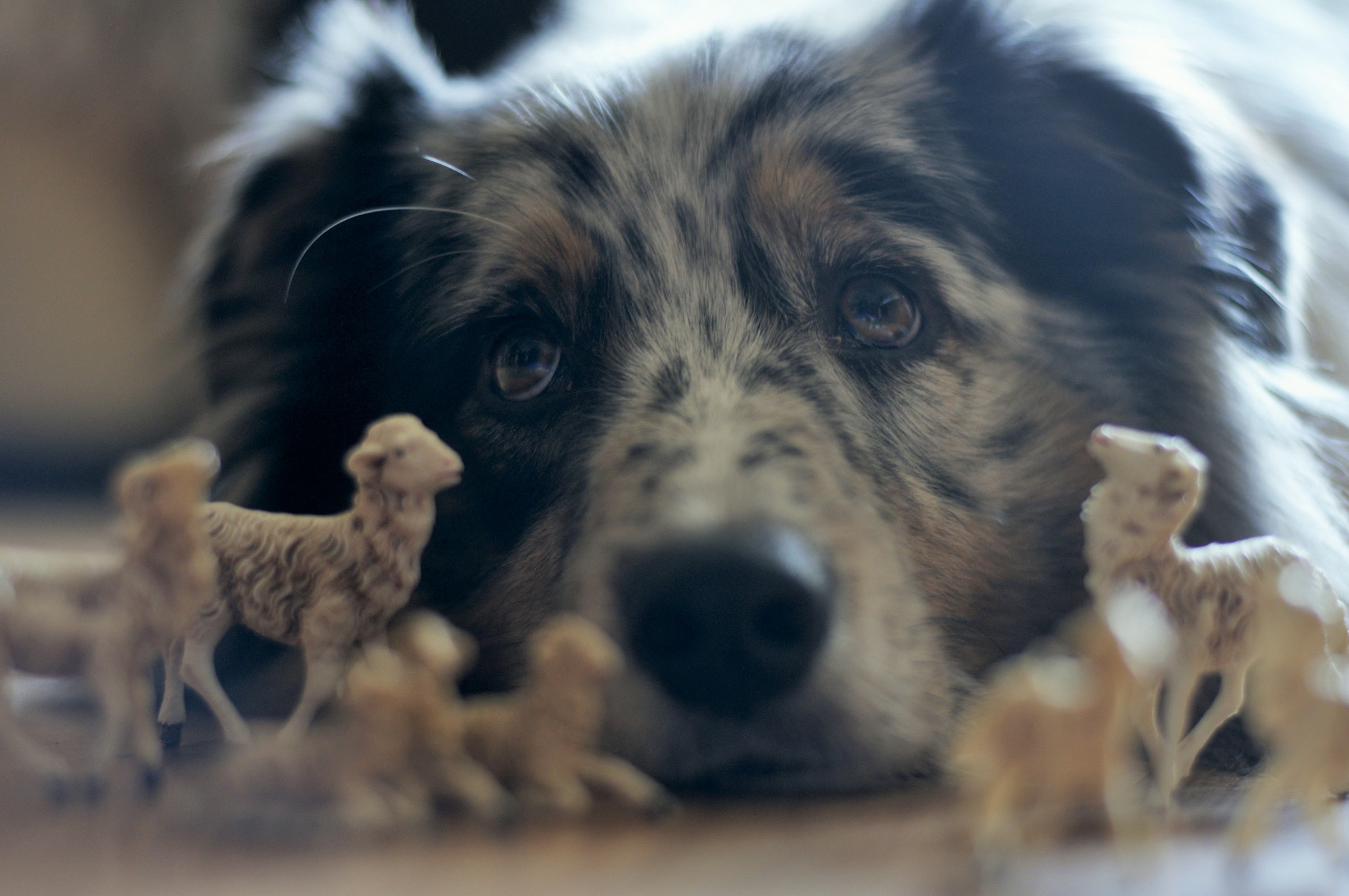 al lavoro anche a Natale, che barba!!!