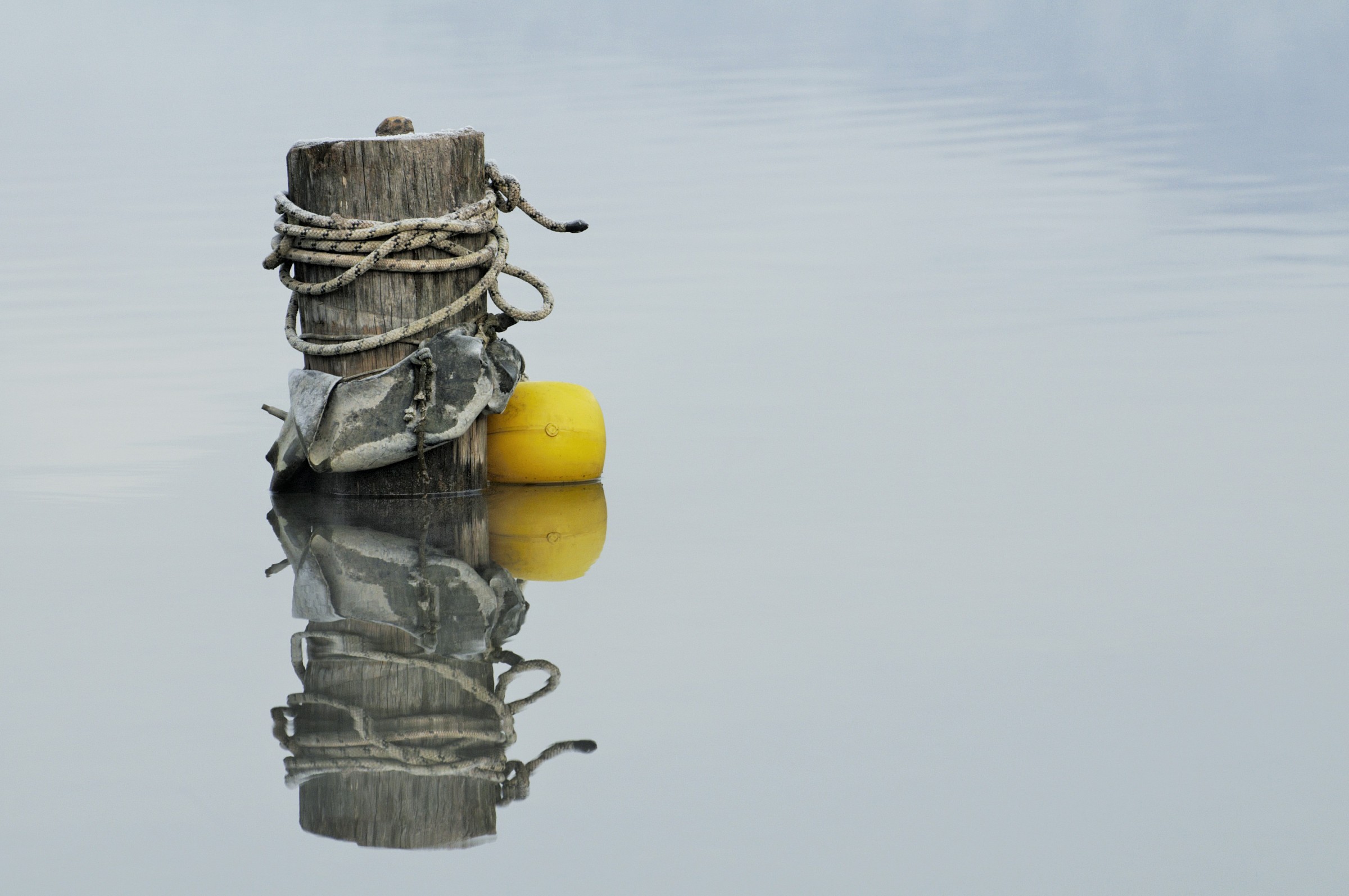 still life bagnato#1
