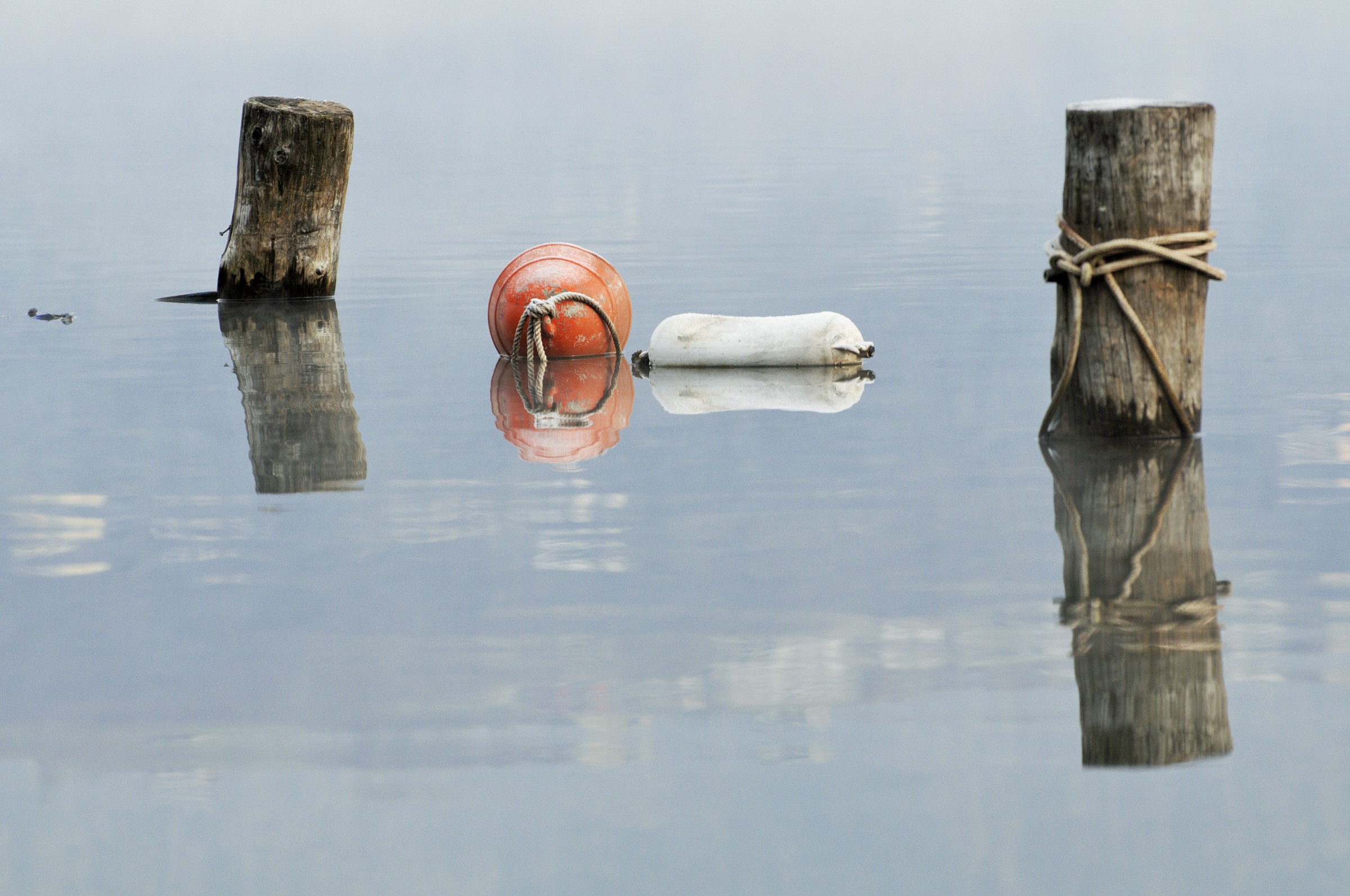 still life bagnato#2