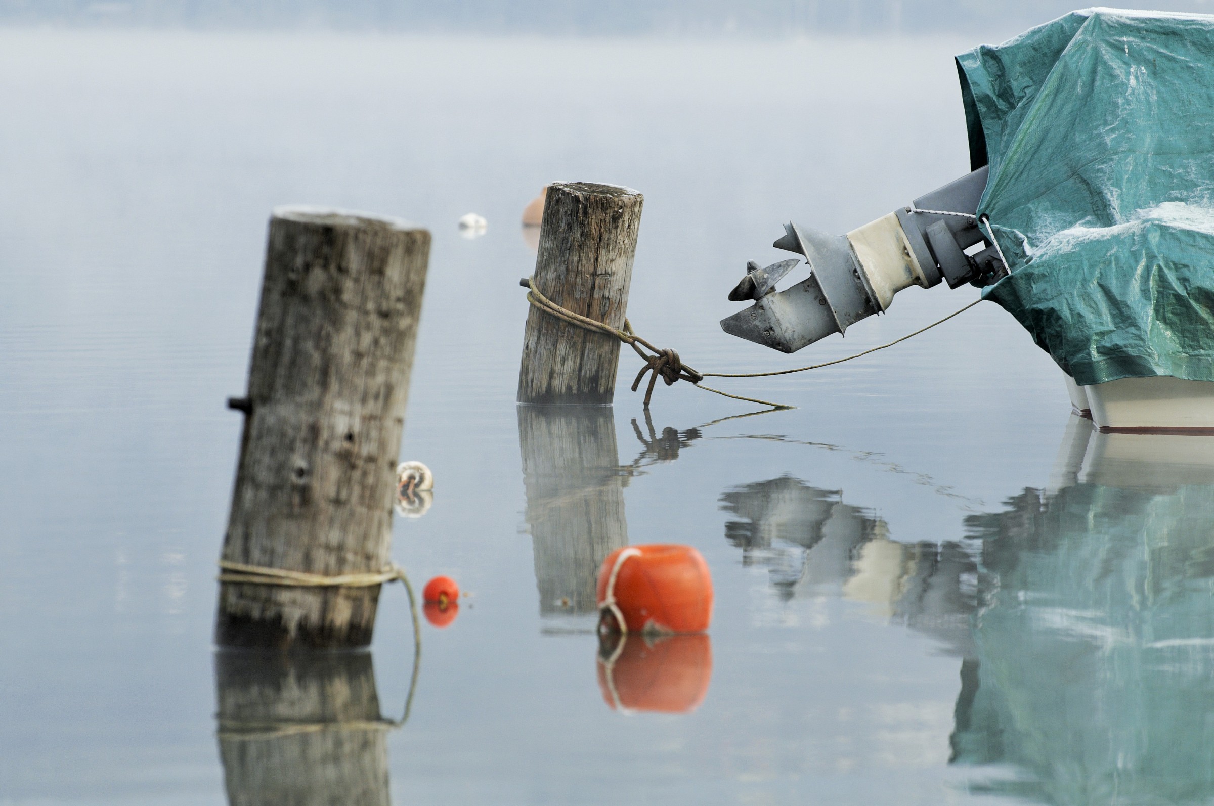 still life bagnato#4