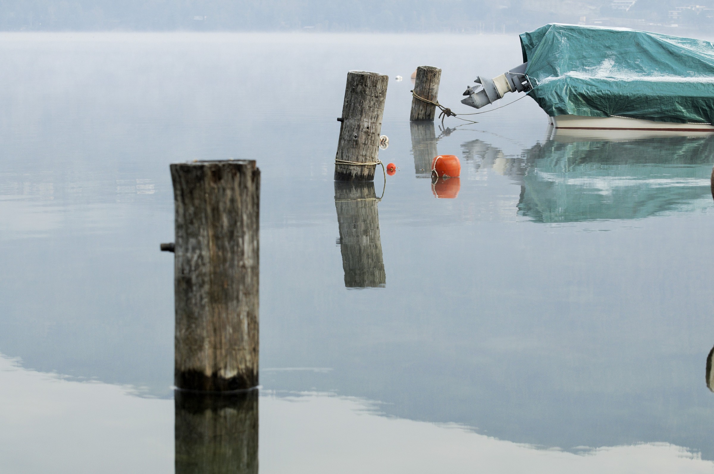 still life bagnato#5