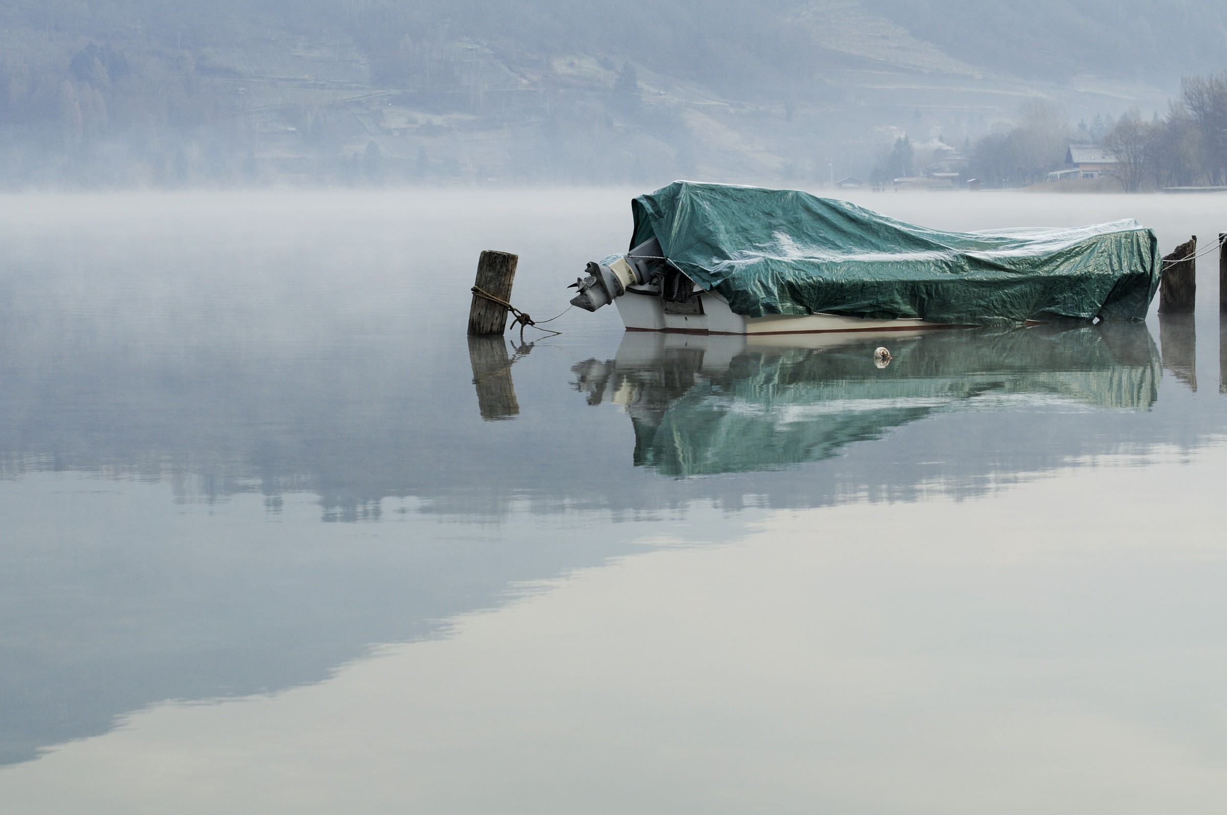 still life bagnato#6