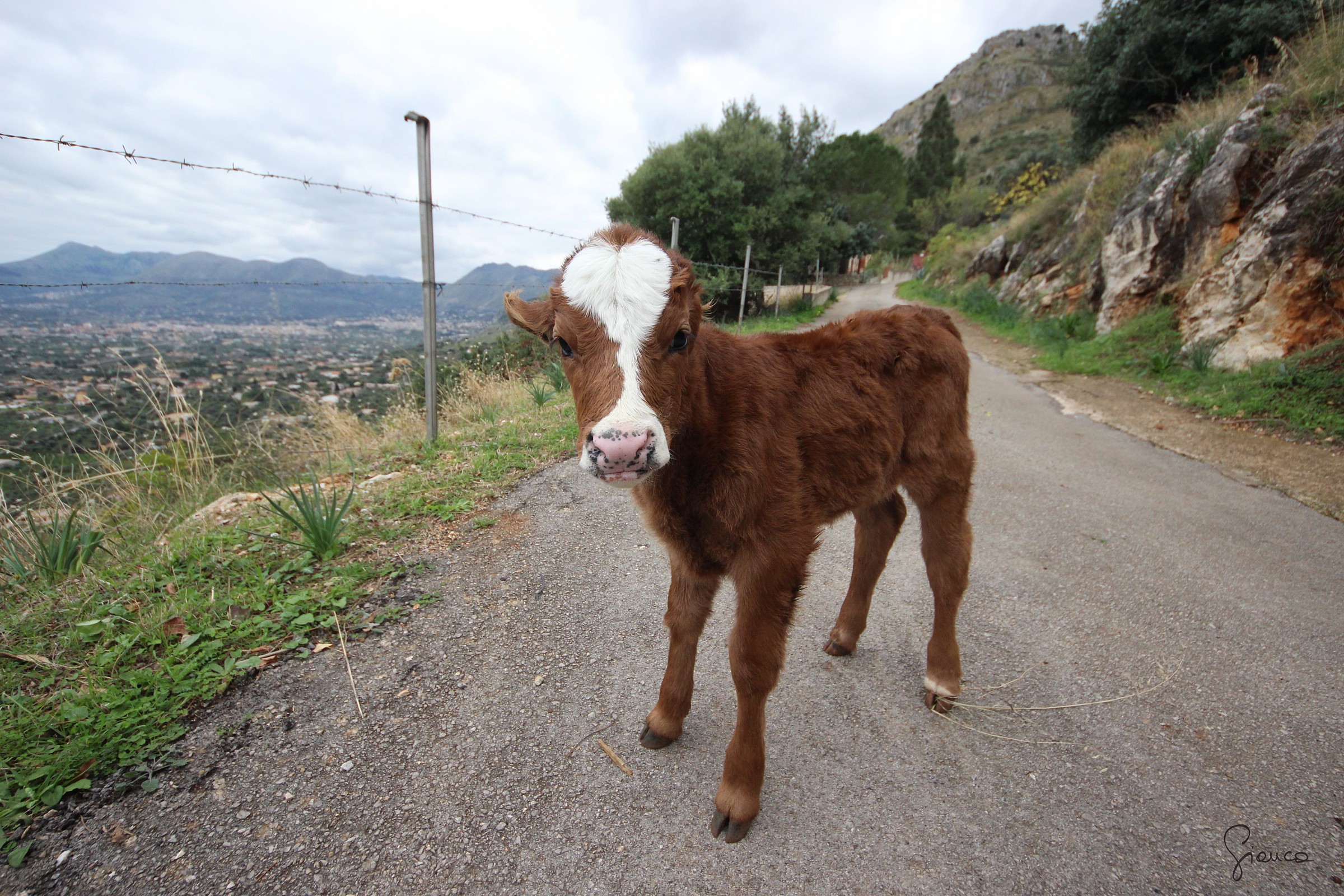 Merry Christmas to you too!