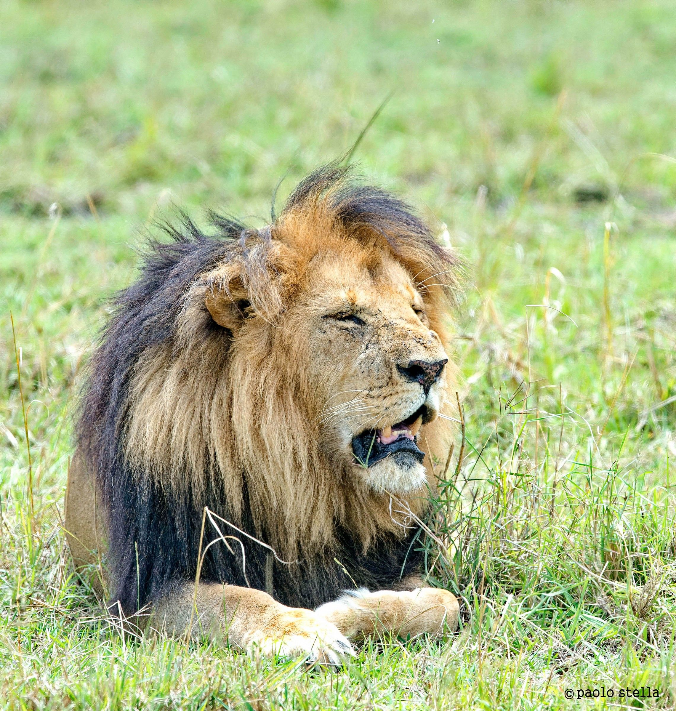 the King's Xmas - after .....