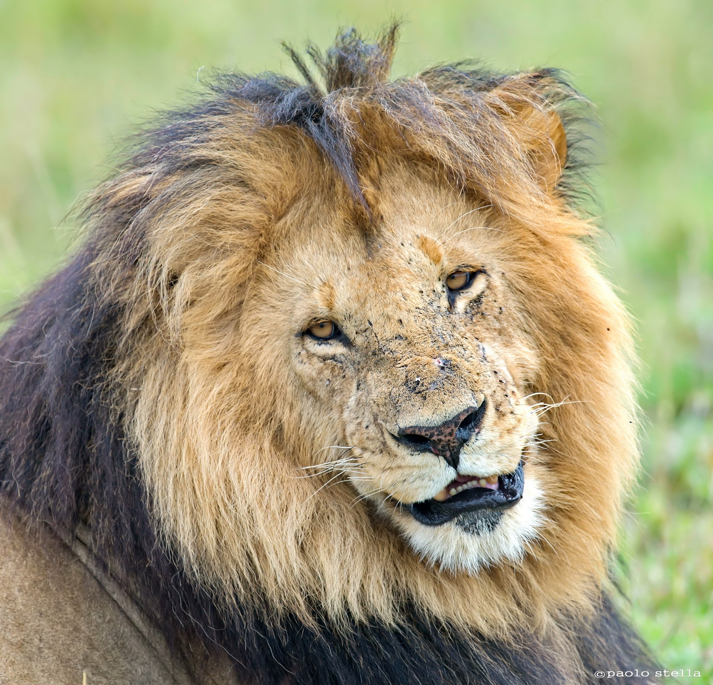 the King's Xmas - eh eh ......