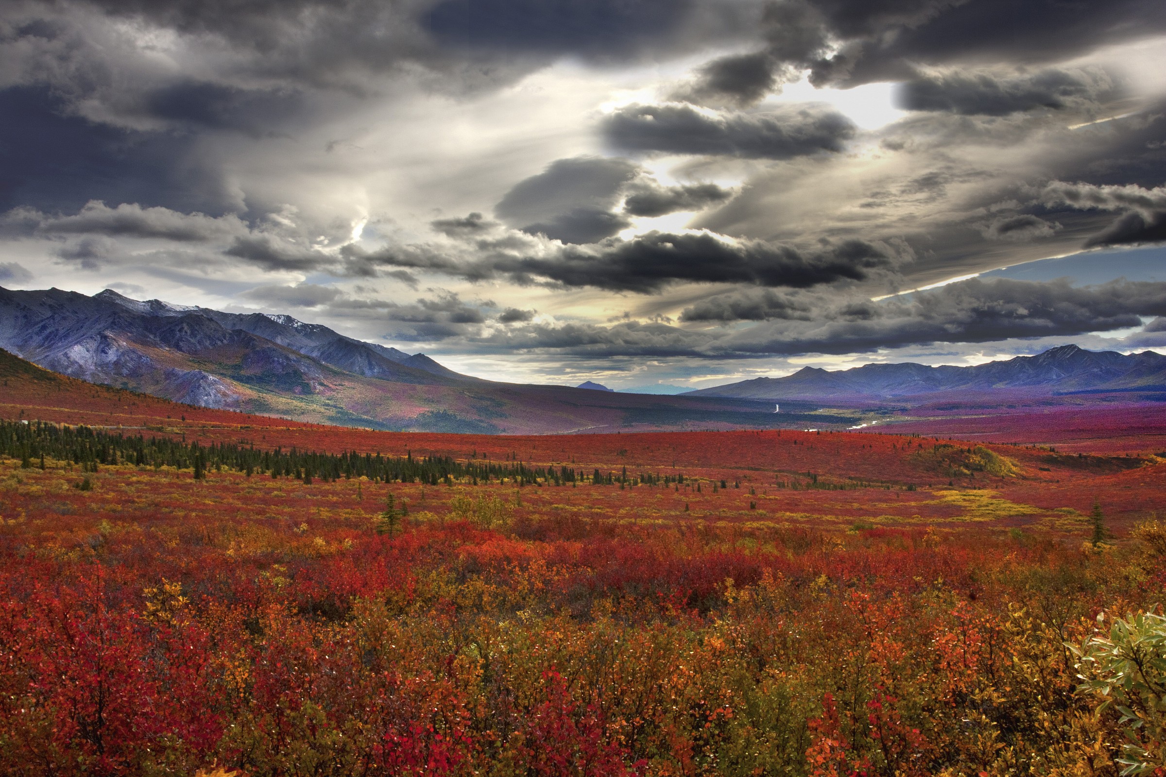 Denali National Park