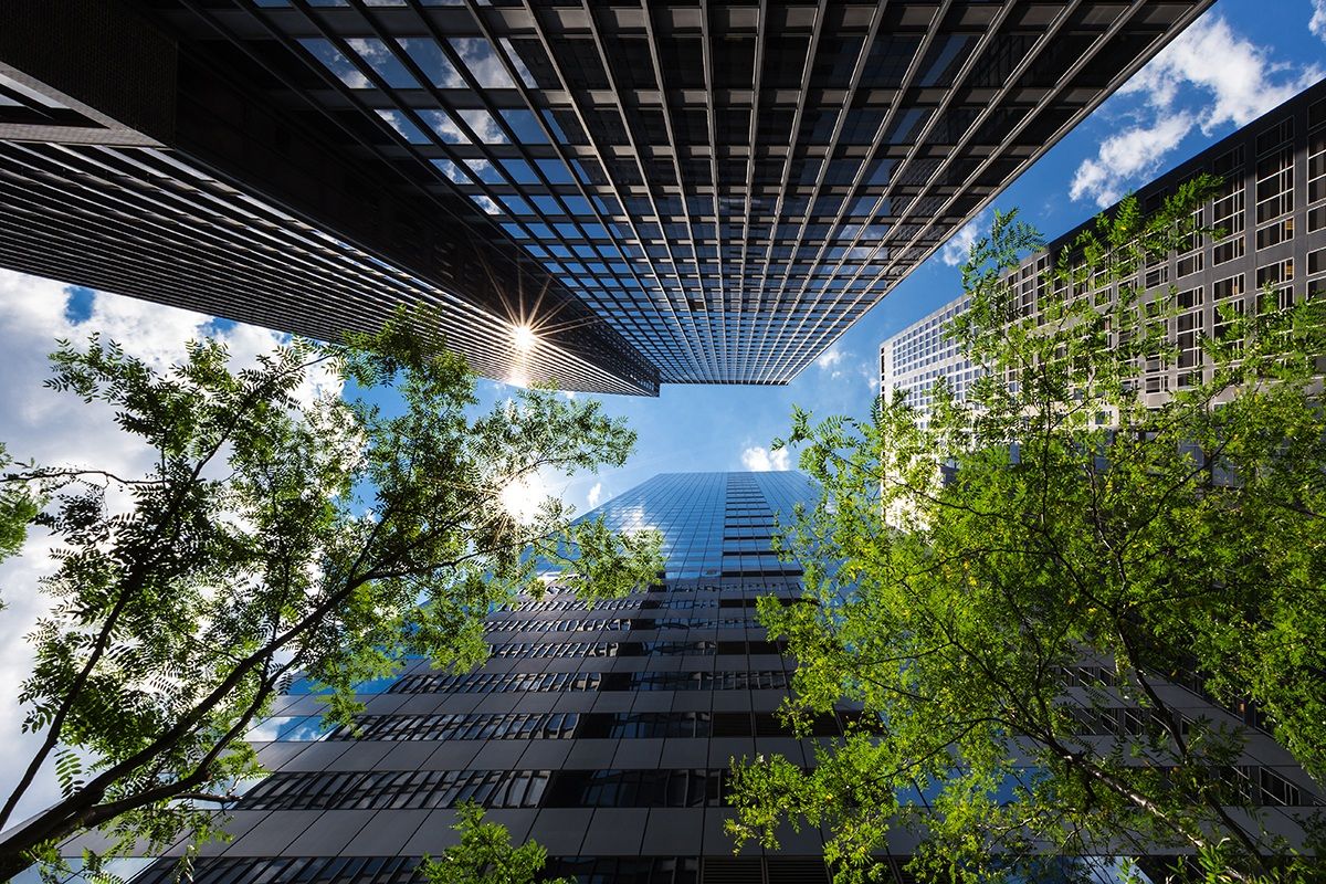 Green and grattcieli