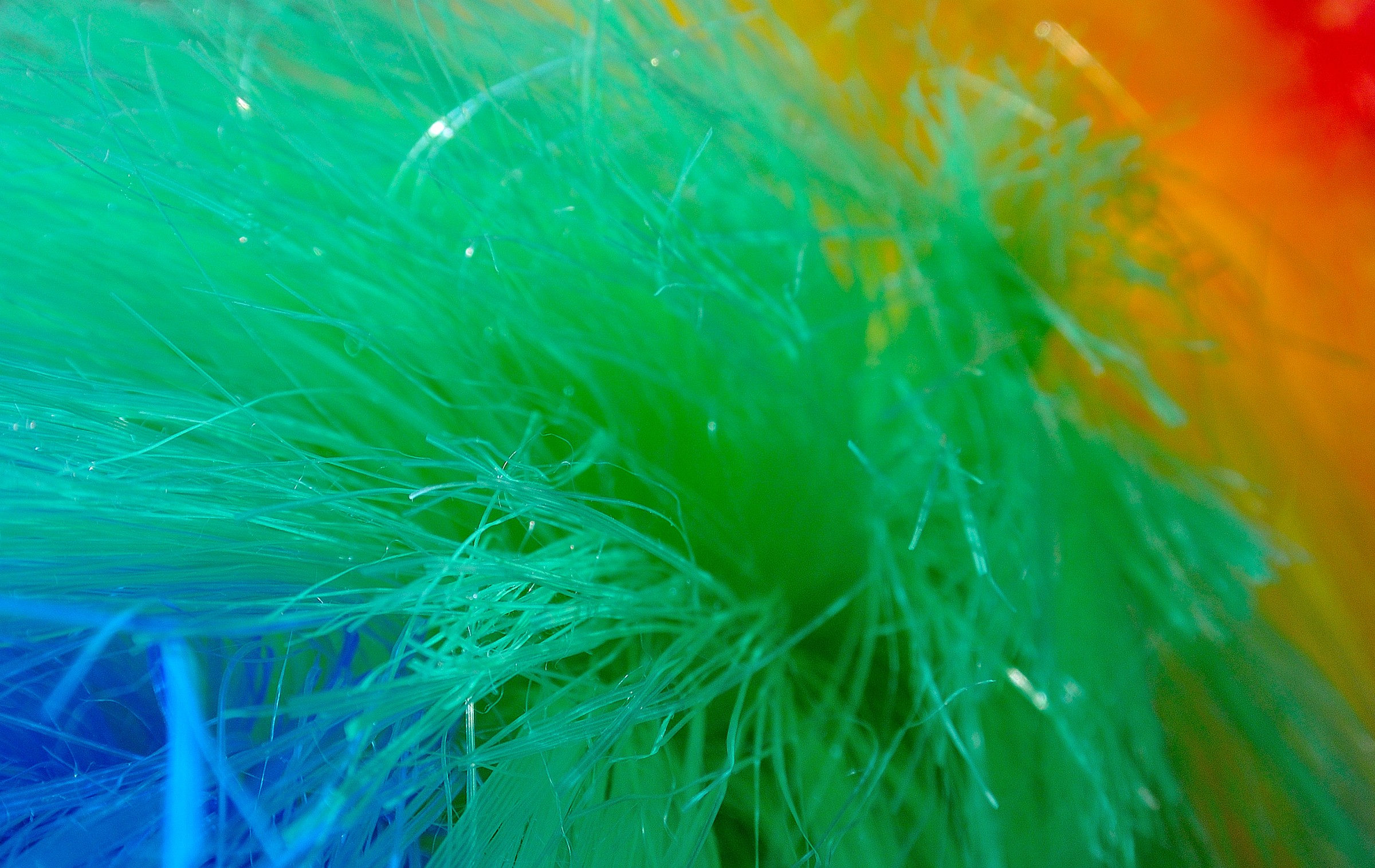 In colours we trust.....